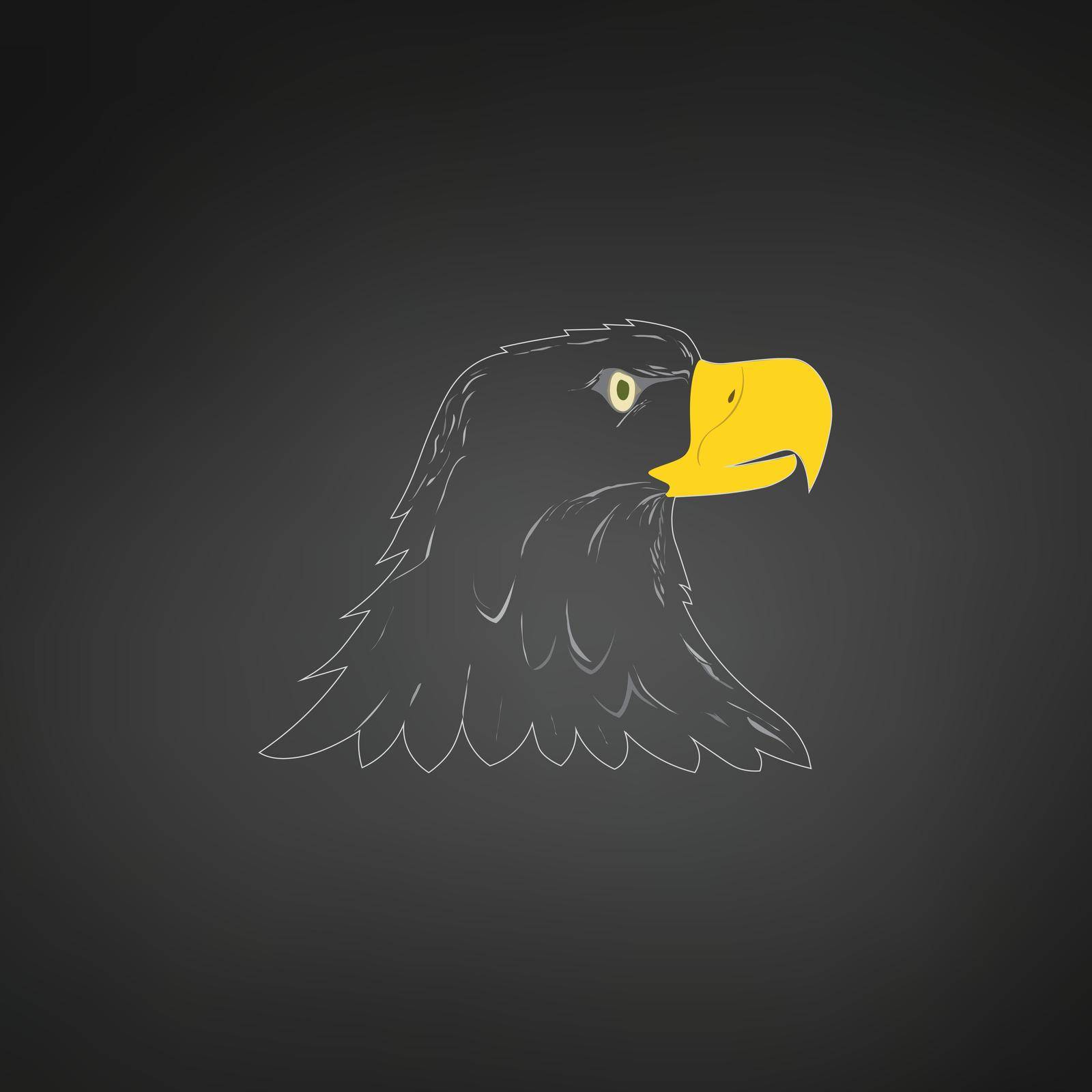 American Bald Eagle or Hawk Head Mascot Graphic, Bird facing side. T-shirt graphics. Vector illustration isolated on white