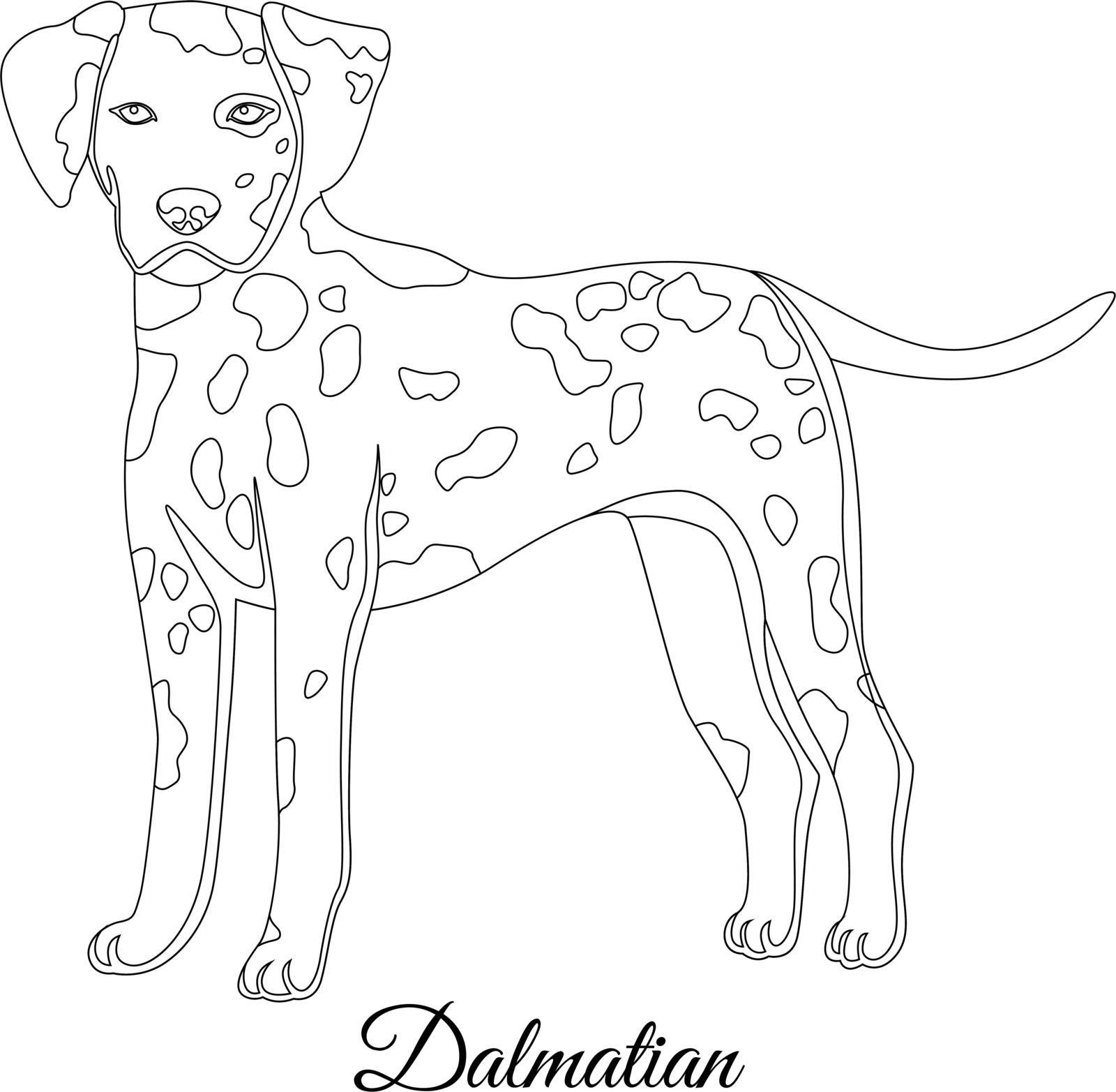Dalmatian dog outline vector illustration