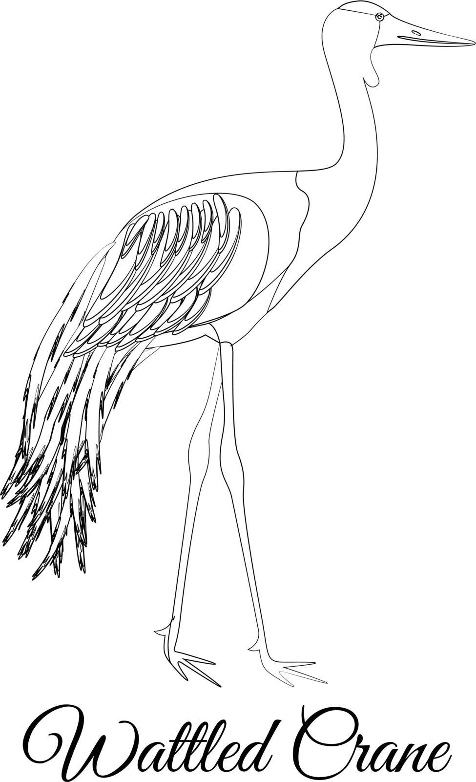 Wattled crane outline vector illustration