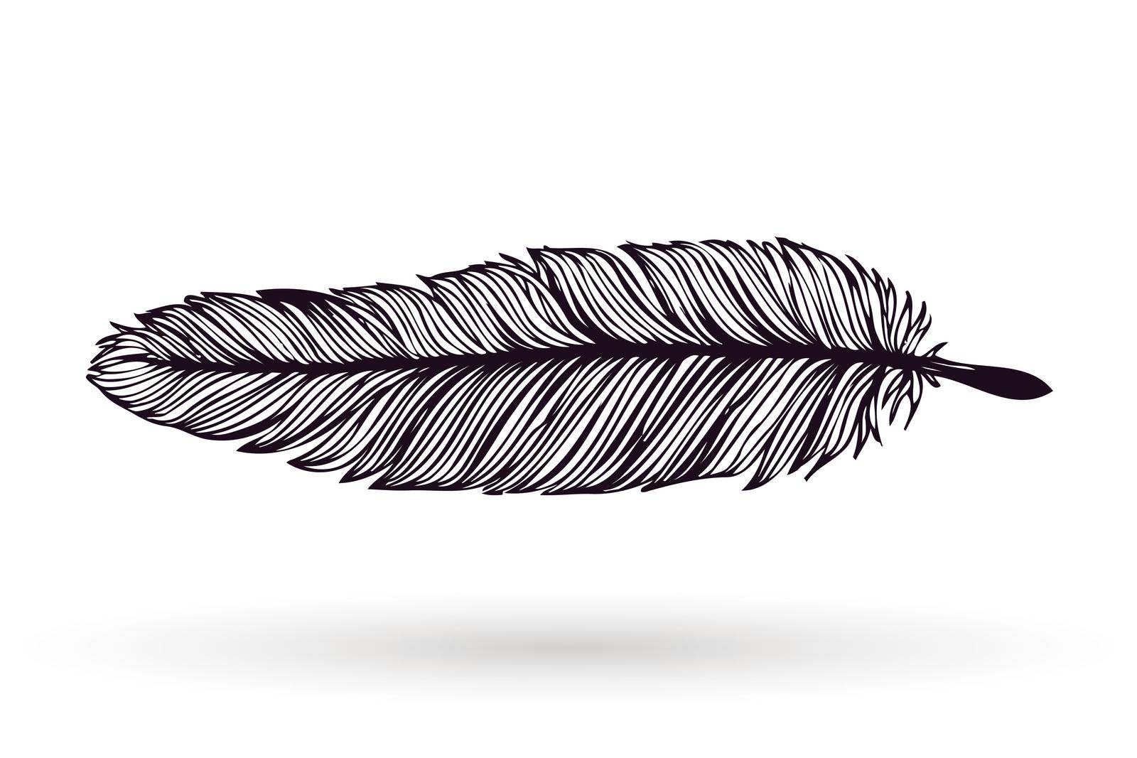 Hand drawn feather isolated on white background. Artistic ink vector illustrations. Vintage tribal feather. Outline vector drawing.