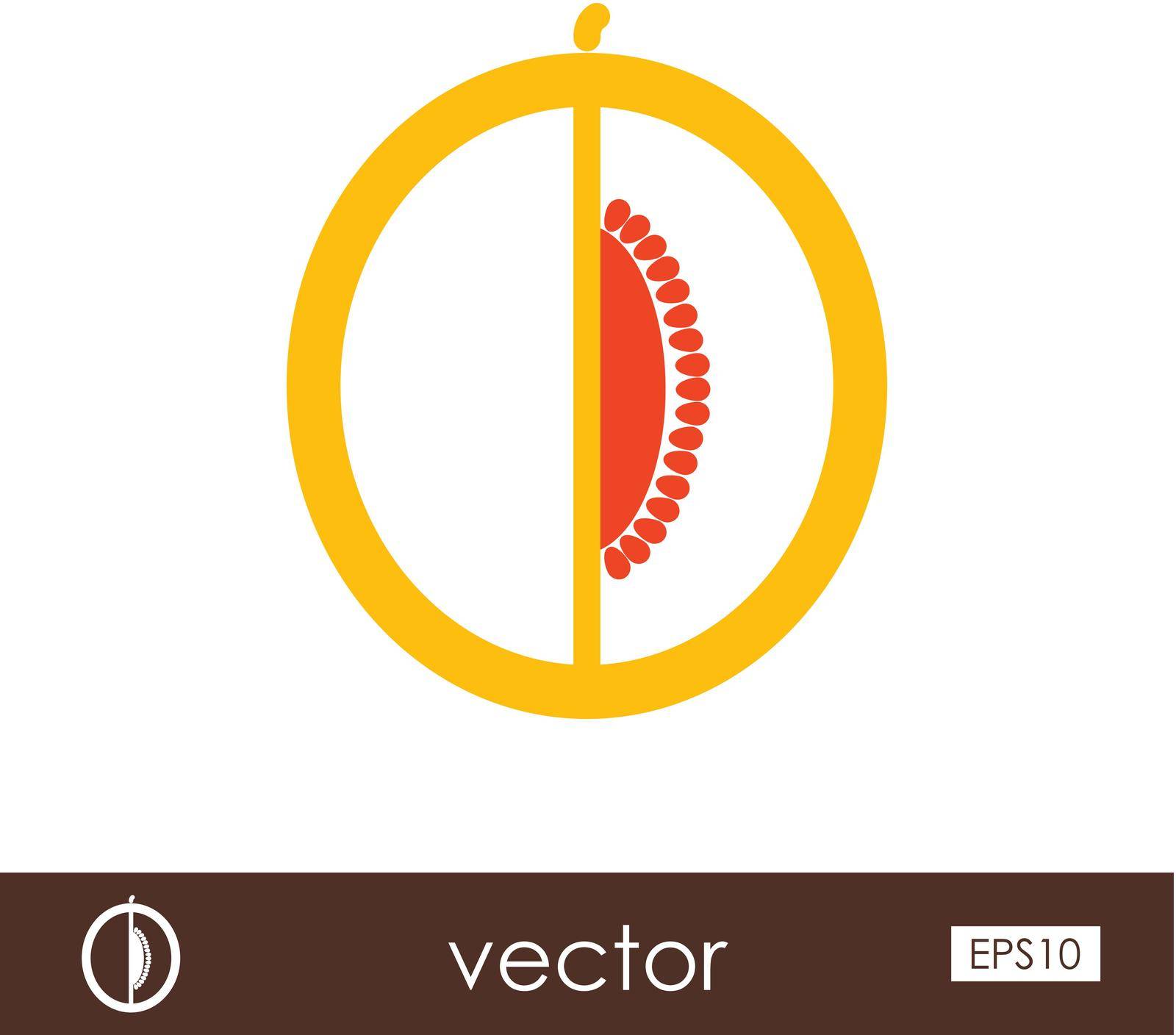 Melon outline icon. Fruit. Vector illustration, eps 10
