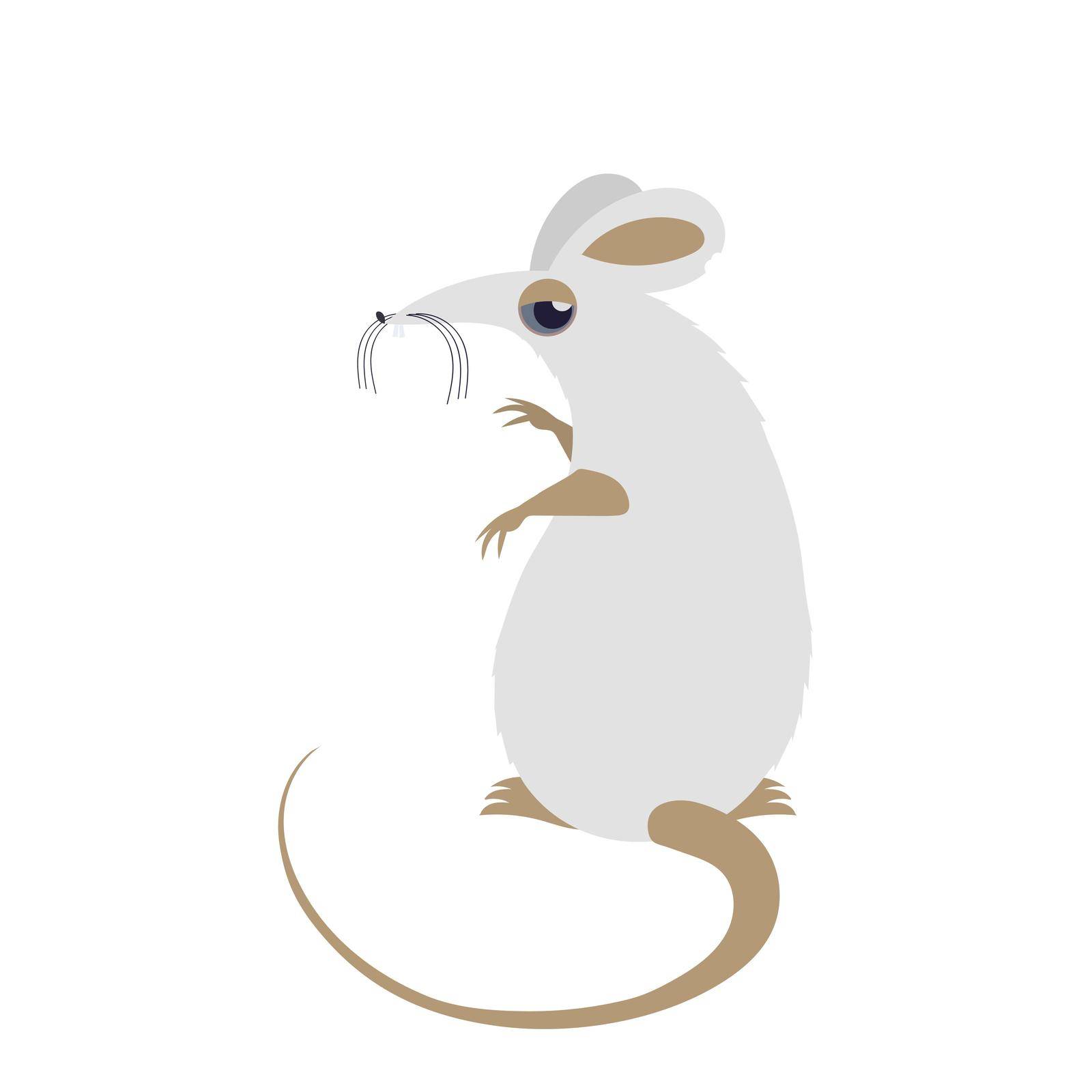 White mouse. Funny white rat isolated on a white background. Vector. by Javvani