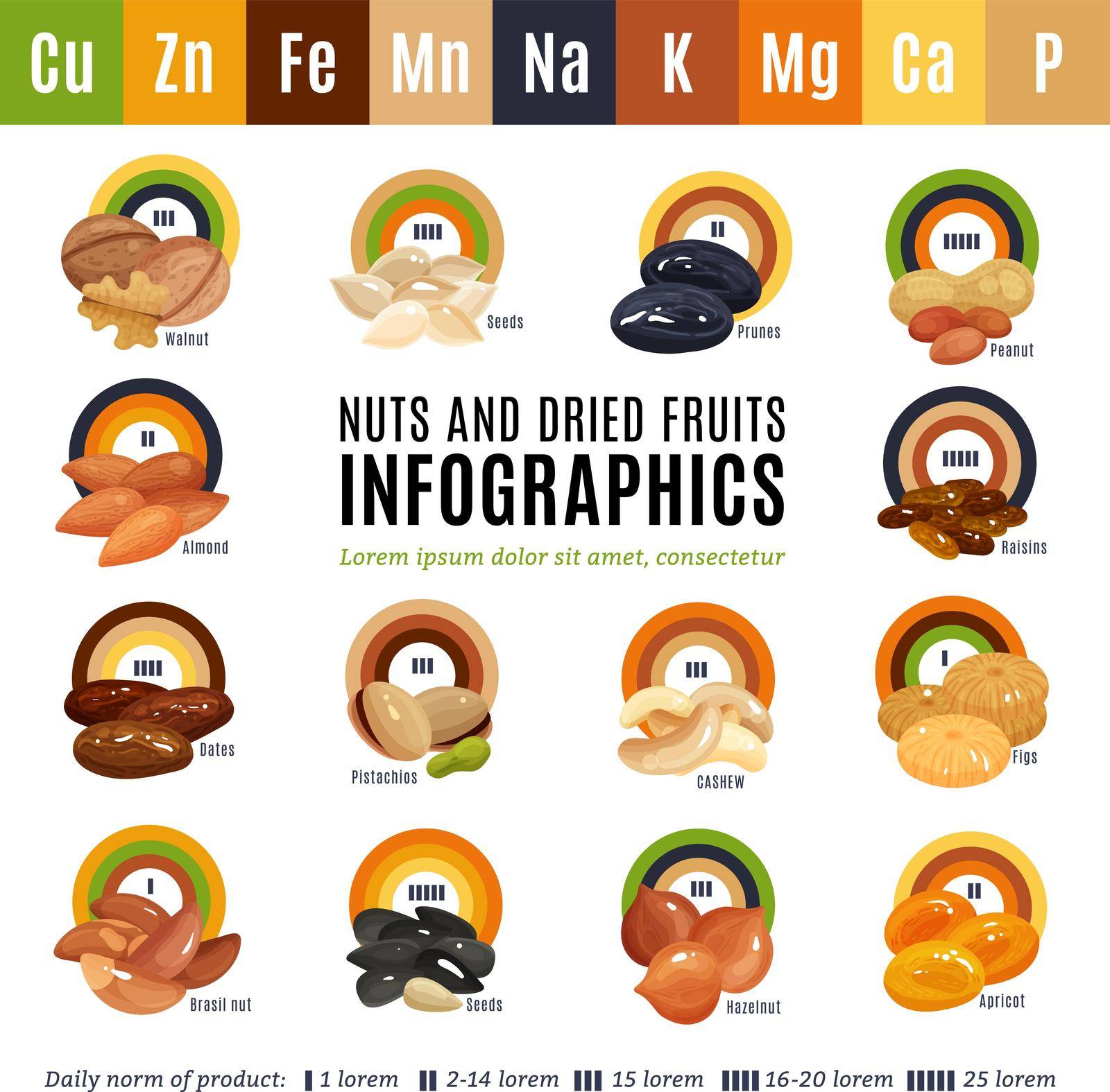 Nuts Flat Infographics by mstjahanara