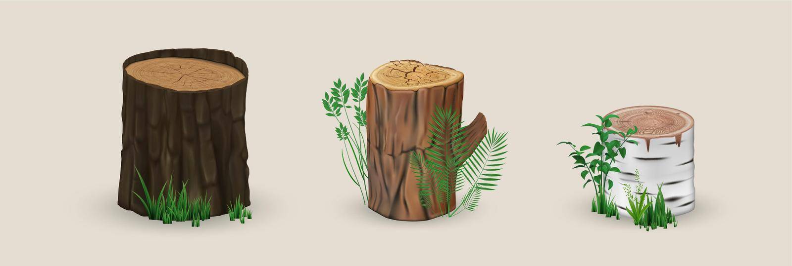 Realistic wood stumps mockup. Collection of realism style drawn wooden cutting and textured planks on white background. Illustration of cracked demolished natural oak birch tree piece of timber.