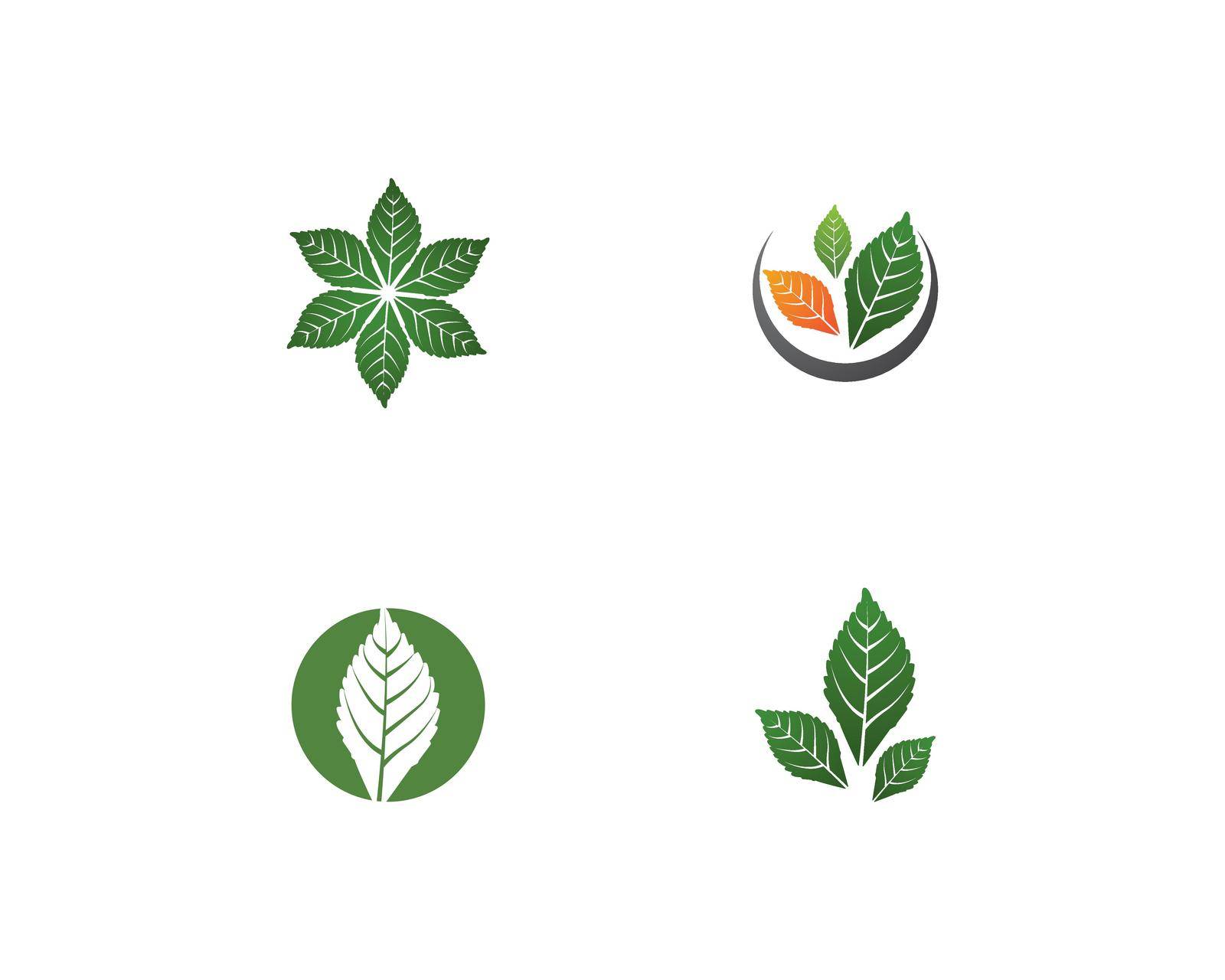 Mint leaf logo illustration vector