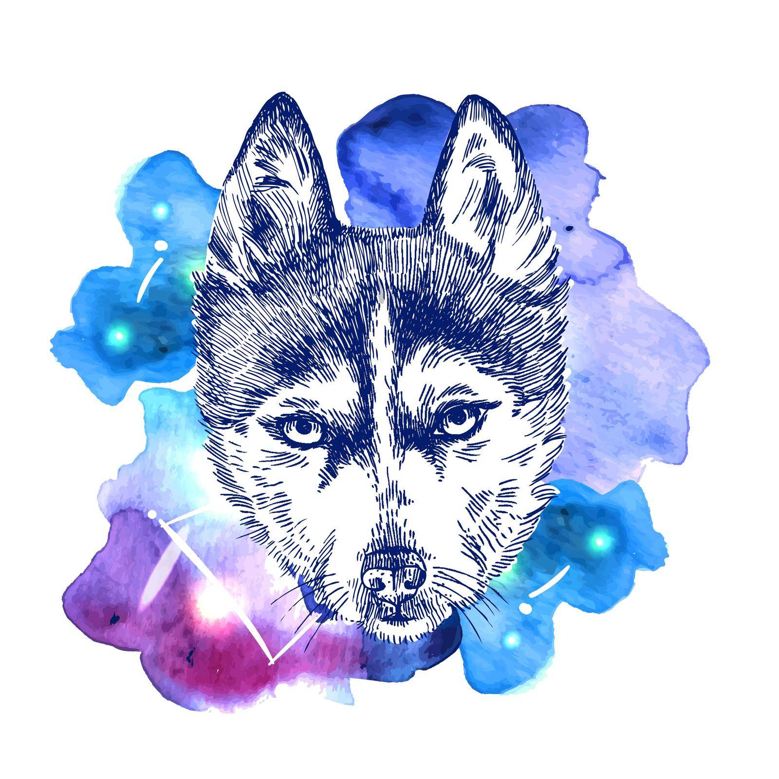 Beautiful hand drawn vector illustration sketching of husky on space watercolor background. Tattoo style drawing. Use for postcards, print for t-shirts, posters, case for smartphone