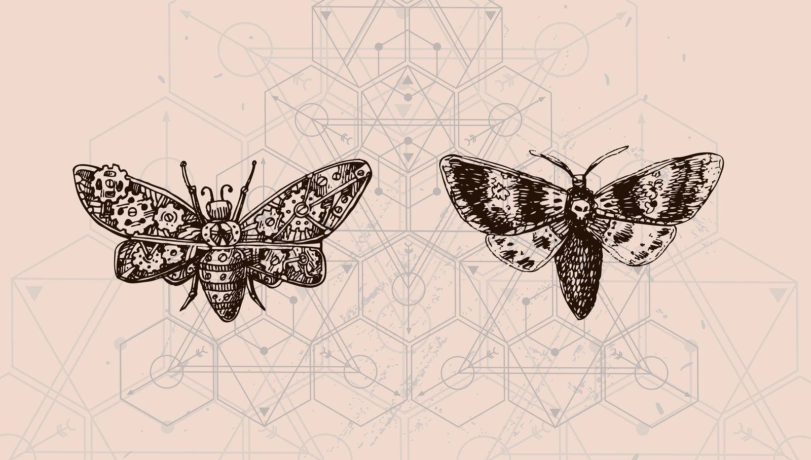 Butterfly and sacred geometry. Hand drawn vector illustration could be used for textile, yoga mat, phone case, t-shirt, etc