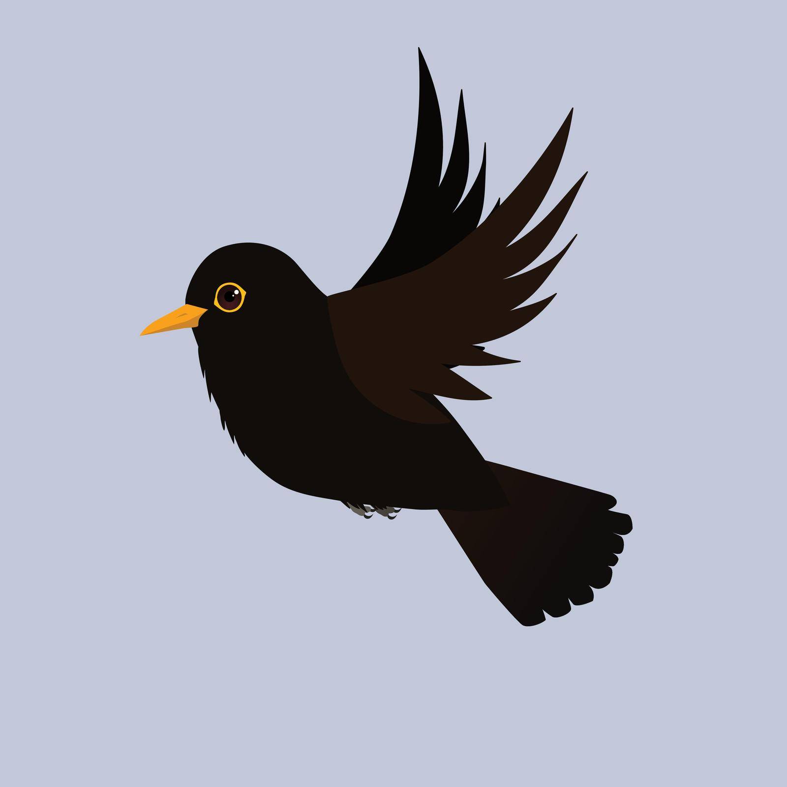 Blackbird flying. Cut out on a light blue background. It is a male bird.