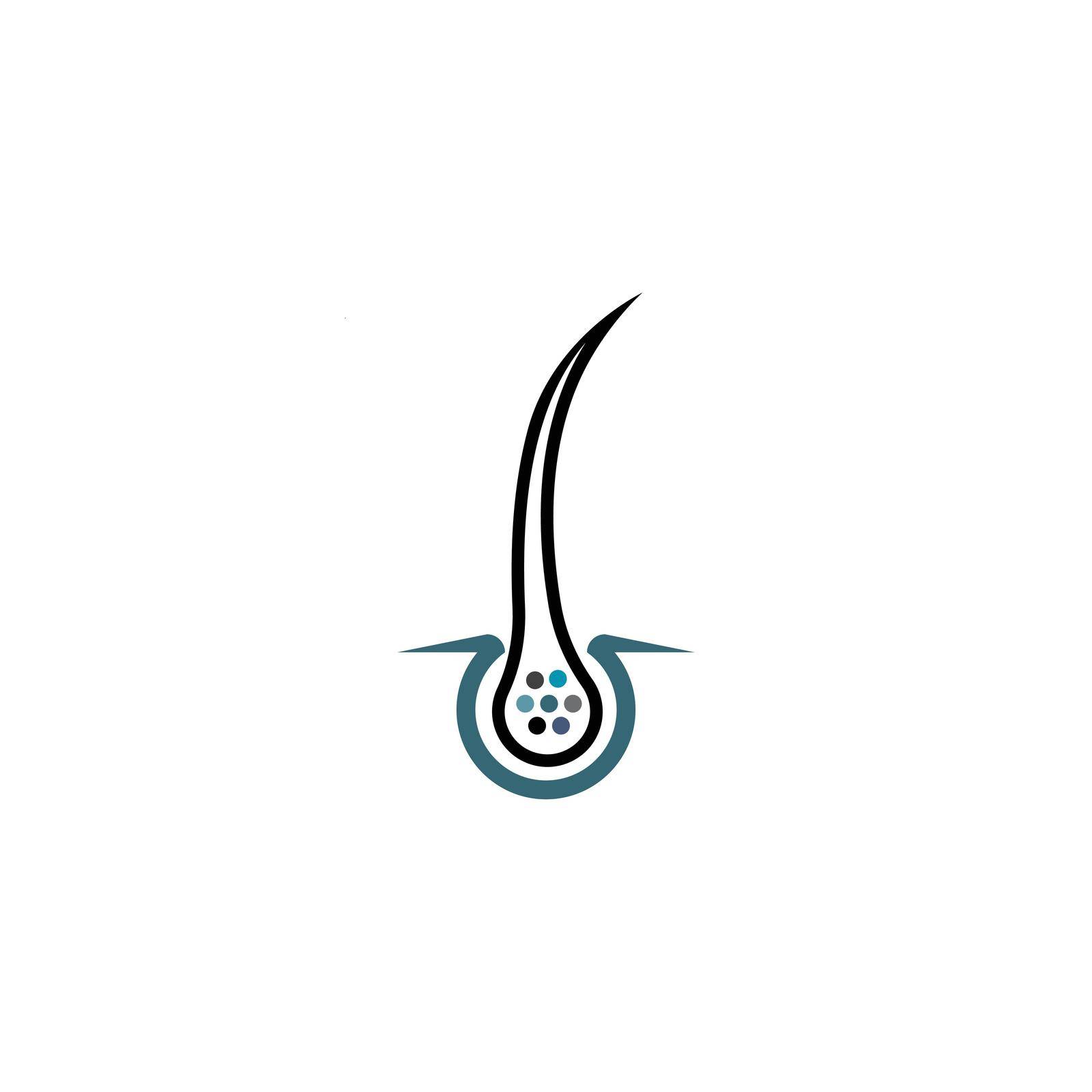 hair follicle symbol by hasan02