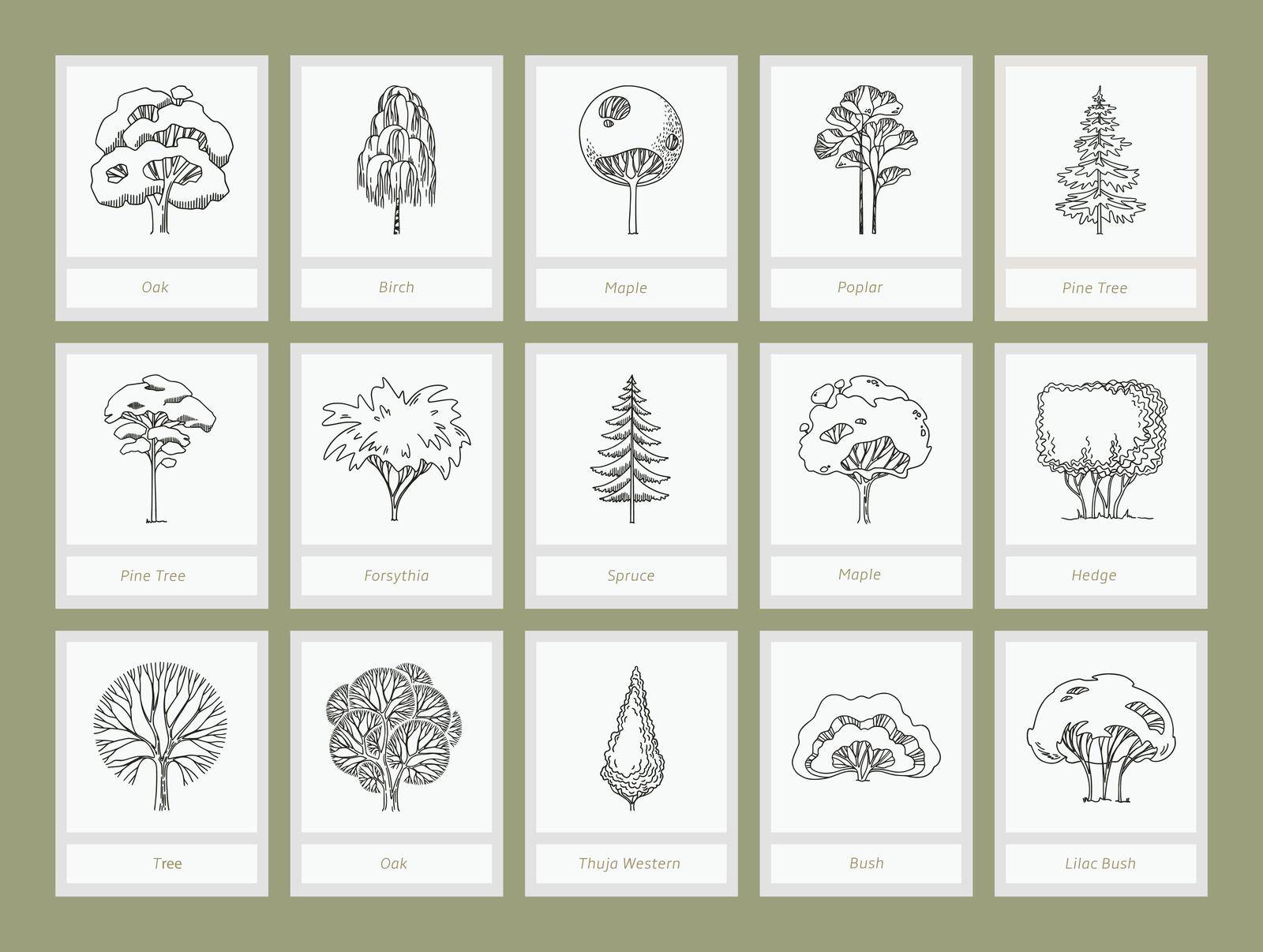 Side view, set of graphics trees elements outline symbol for architecture and landscape design drawing. Natural icon. Vector illustration. EPS 10.