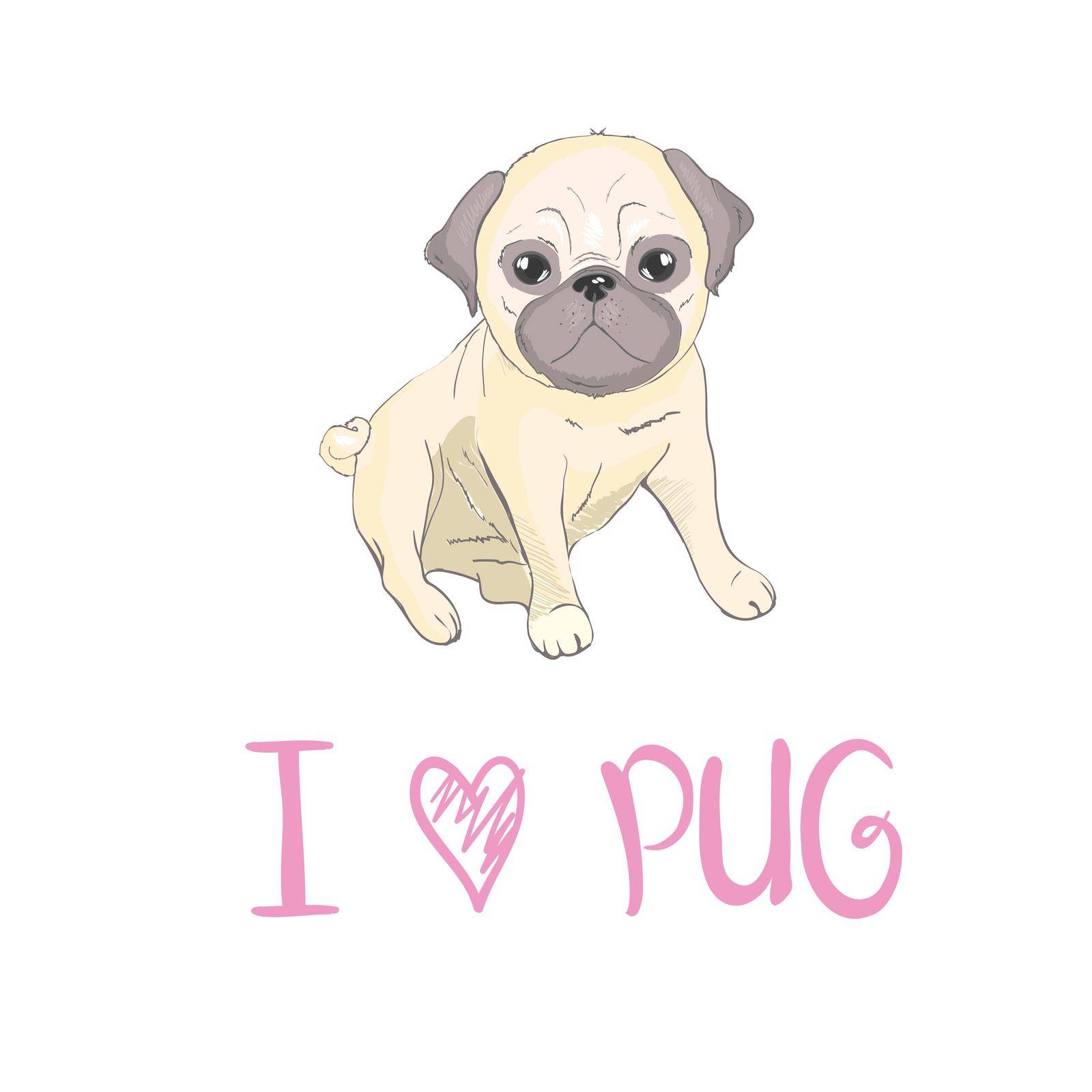 Pug Puppy, illustration, vector cute dog animal