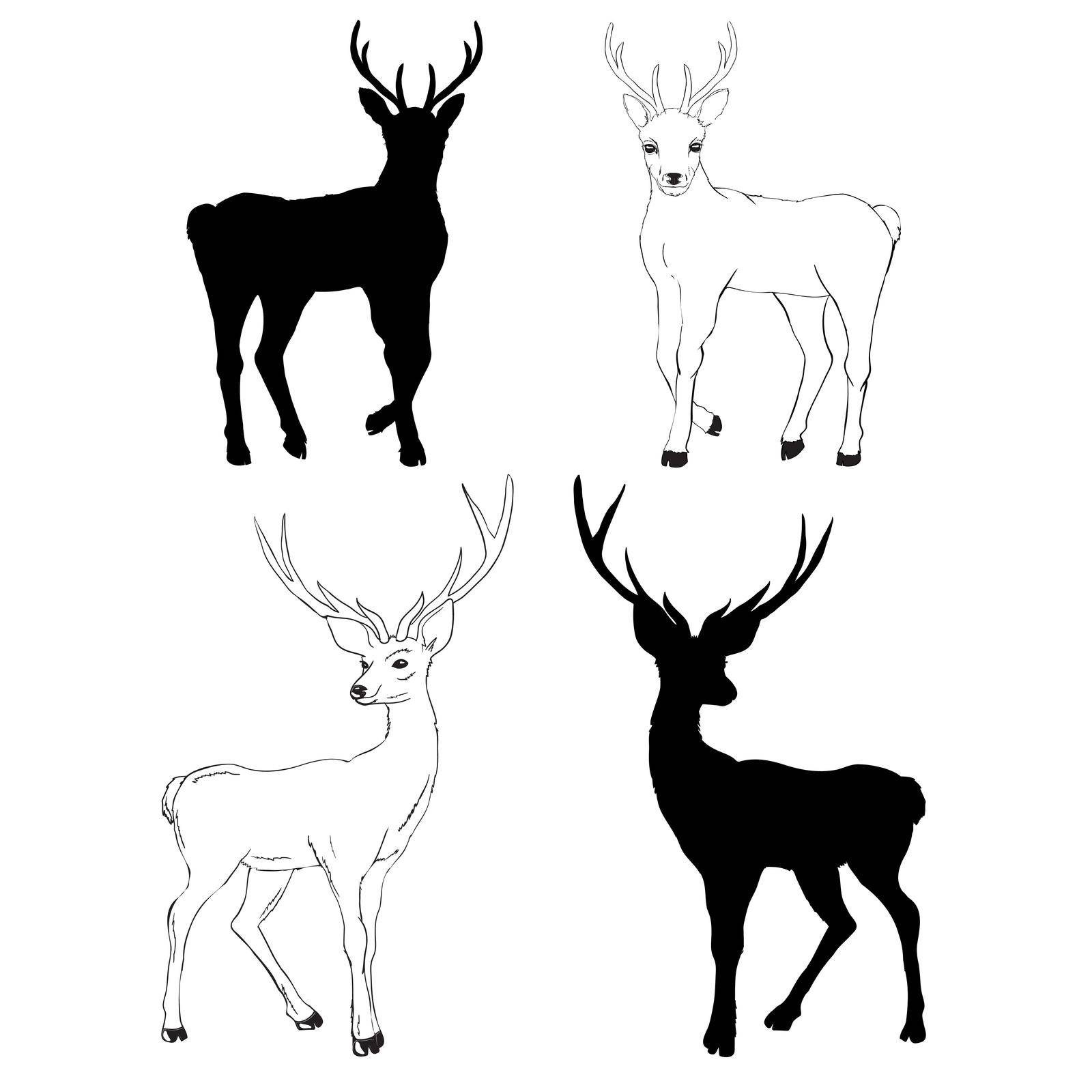 deer silhouette and sketch, vector, illustration, animals, set on white background, animals image