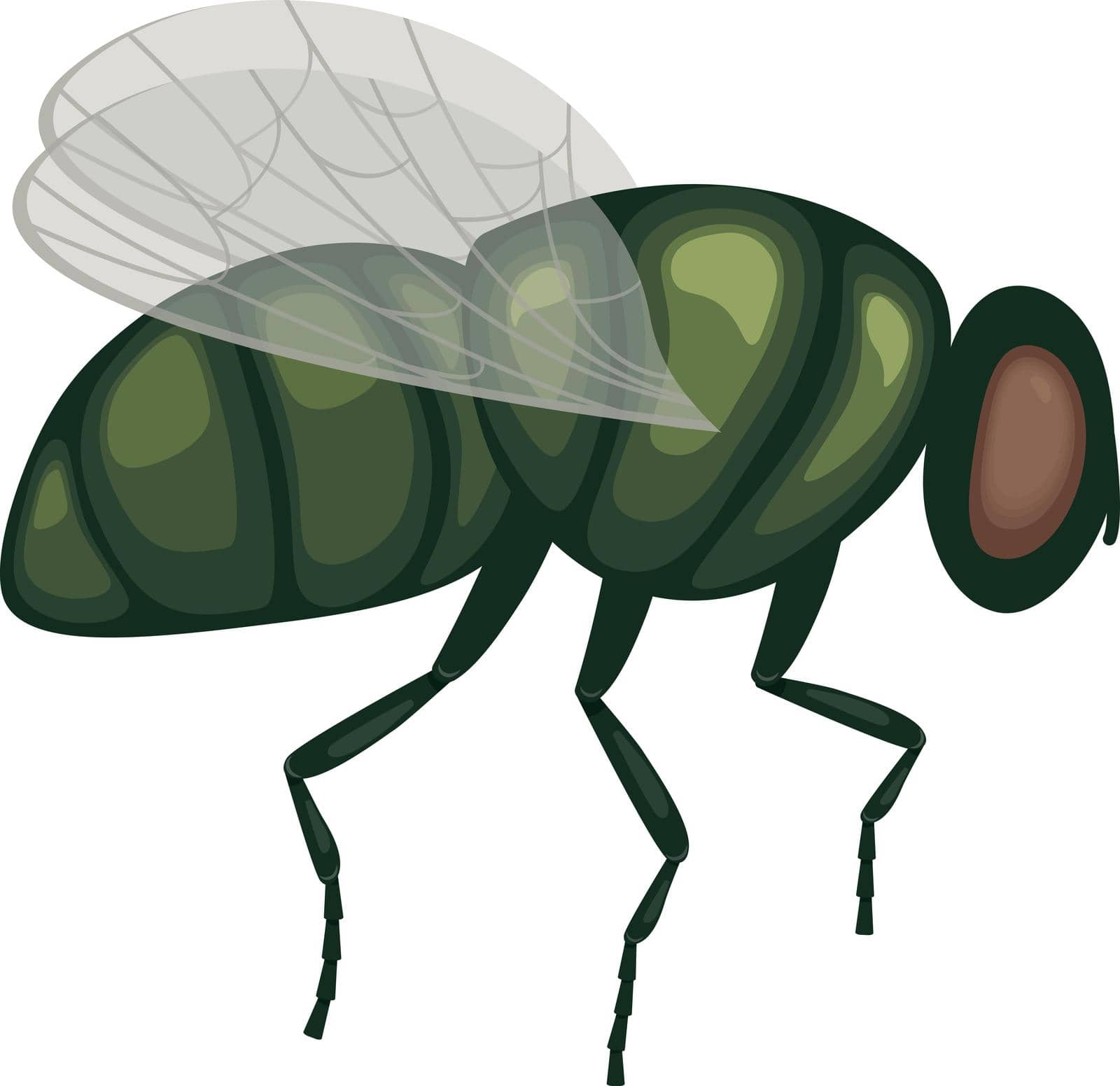 A green fly in flight .A flying insect. Image of a fly, side view. A flying insect. Vector illustration isolated on a white background by NastyaN