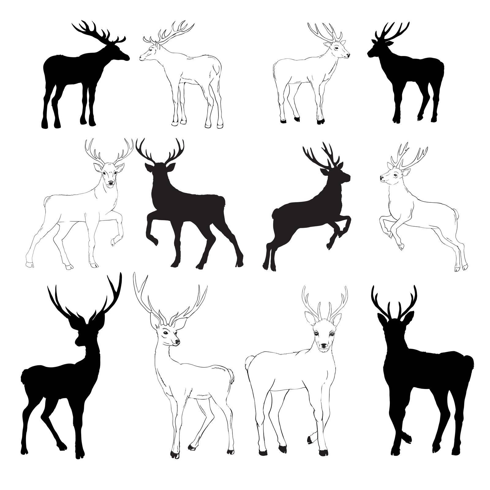 deer silhouette and sketch, vector, illustration, animals, set on white background, animals image