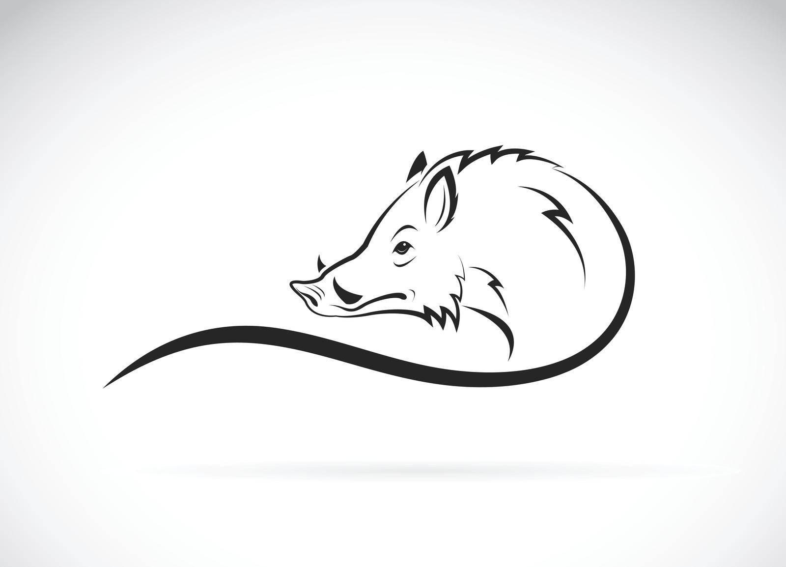 Vector of boar head design on white background. Wild Animals. Easy editable layered vector illustration.