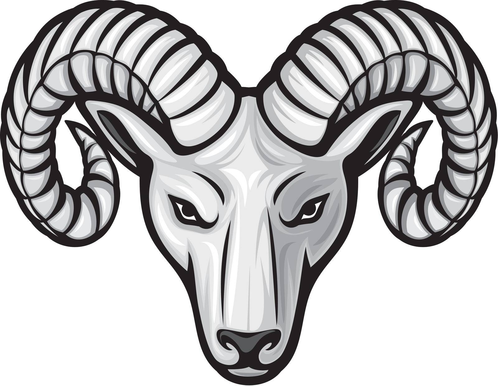 Head of the ram vector illustration