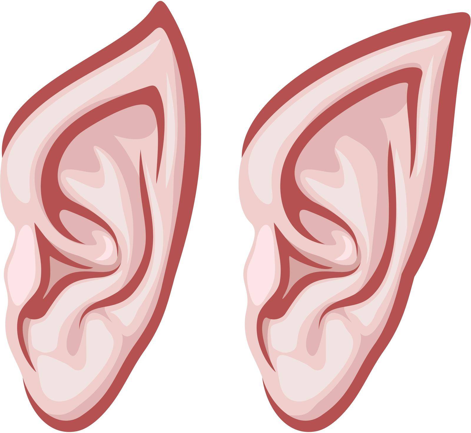 Elf ears vector illustration