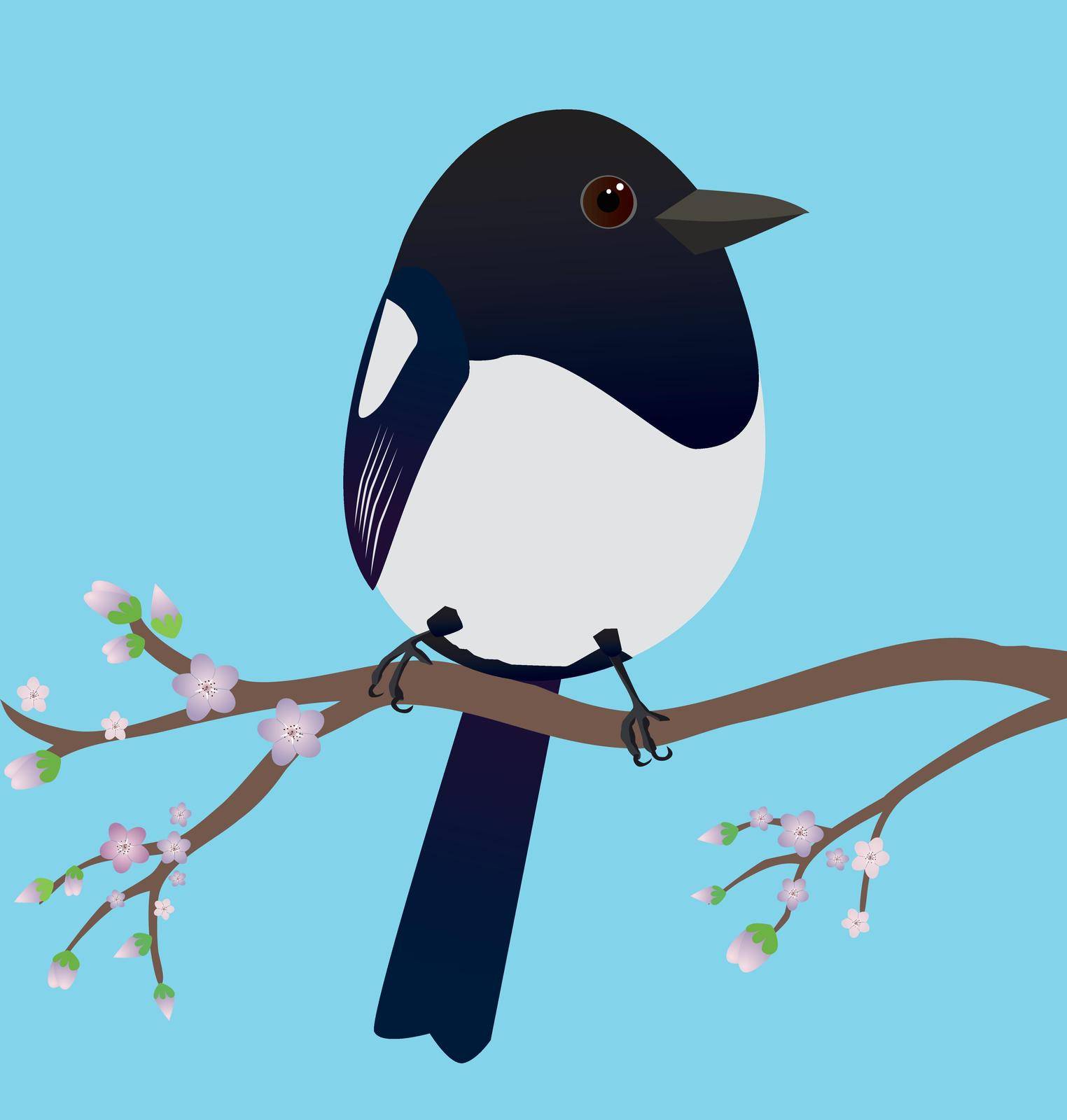A very cute magpie bird in the shape of an egg. Blue background. The bird sits on a branch with blossom.