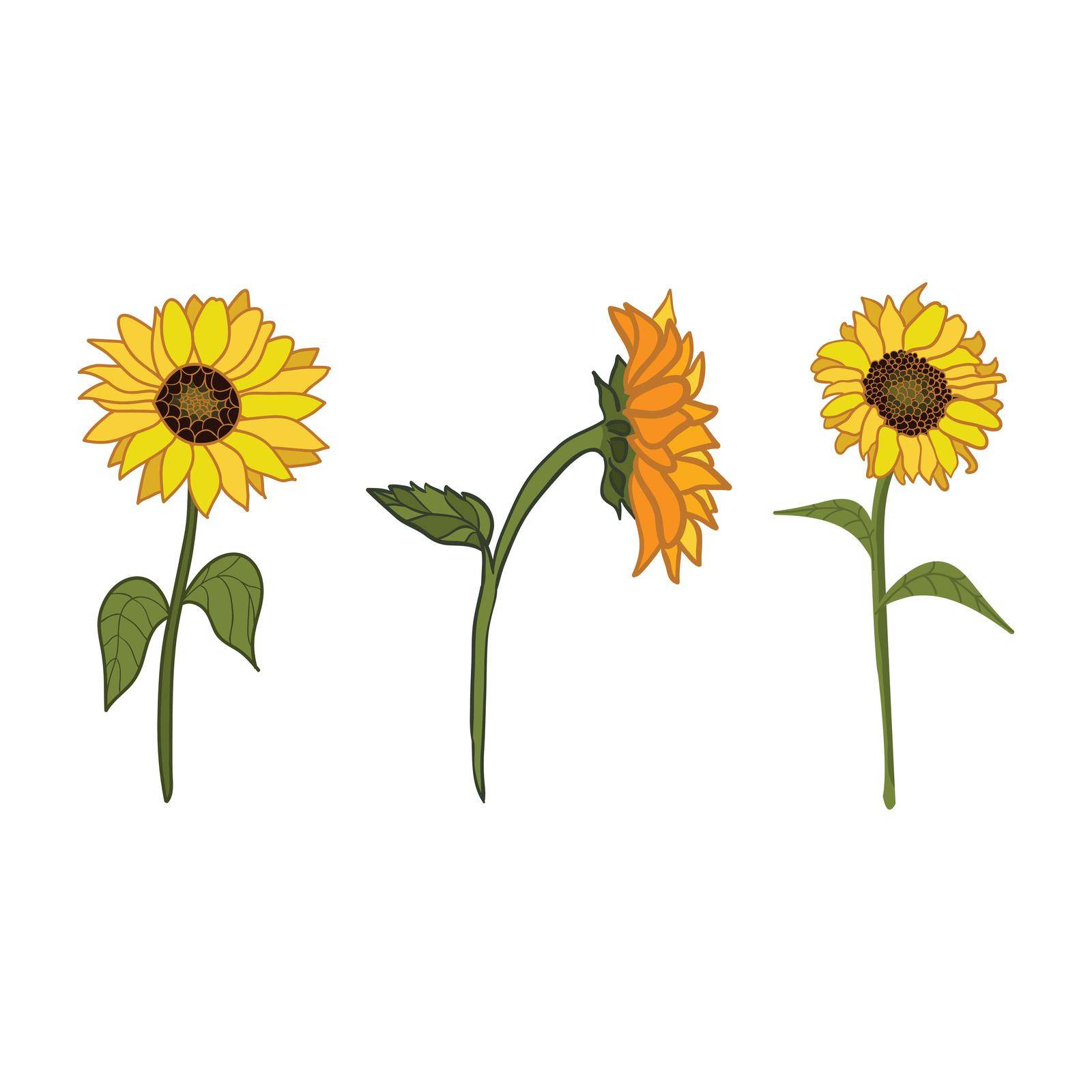 Sunflowers set vector illustration clip-art design isolated by elinnet