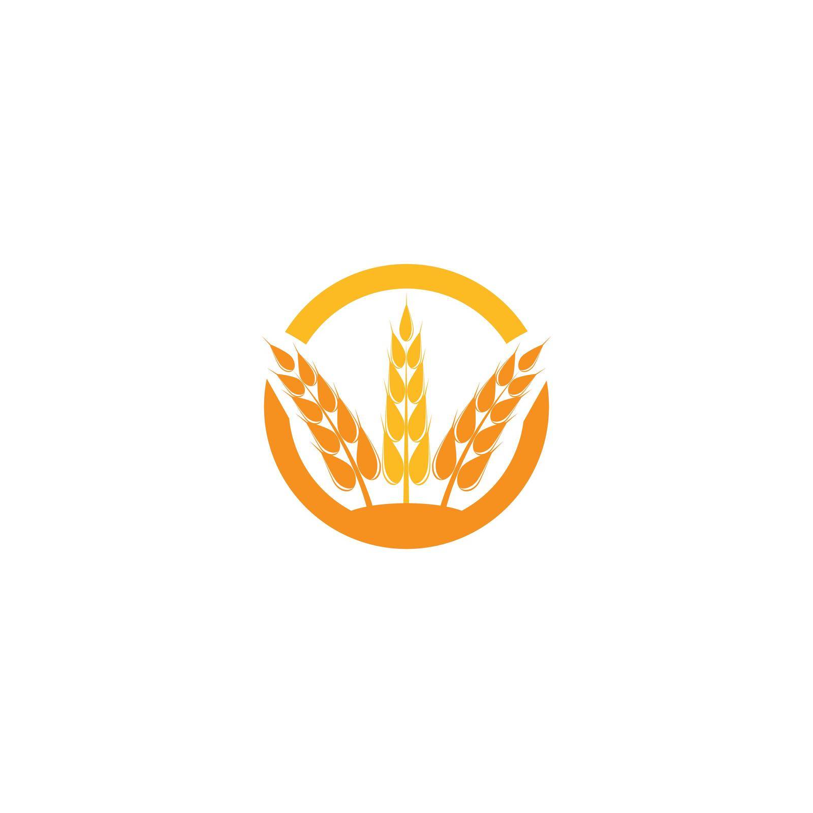 Wheat Logo Template vector symbol by Redgraphic