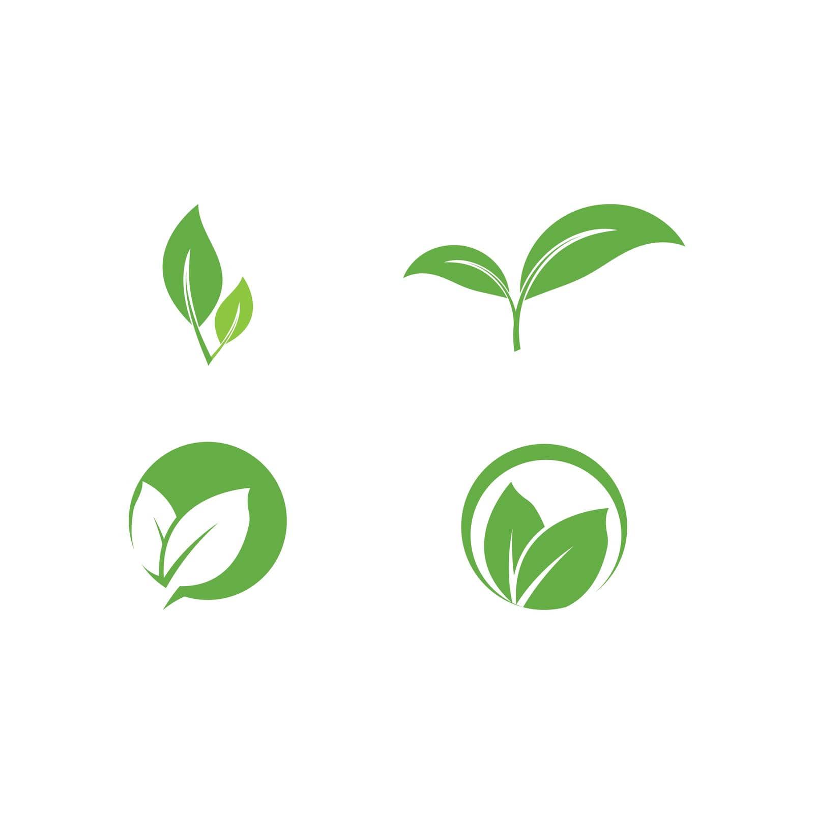 Set Leaf Logo Template vector by Redgraphic