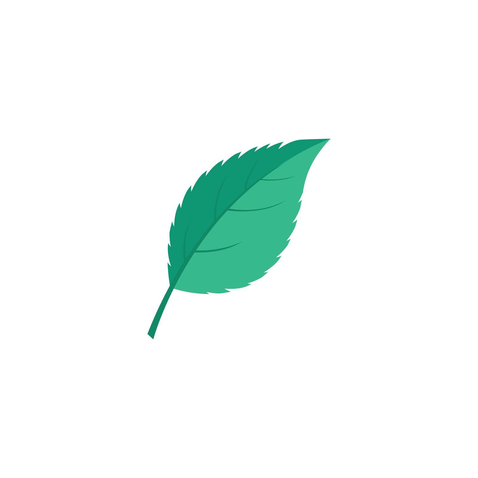 Leaf Mint Logo Template vector symbol by Redgraphic