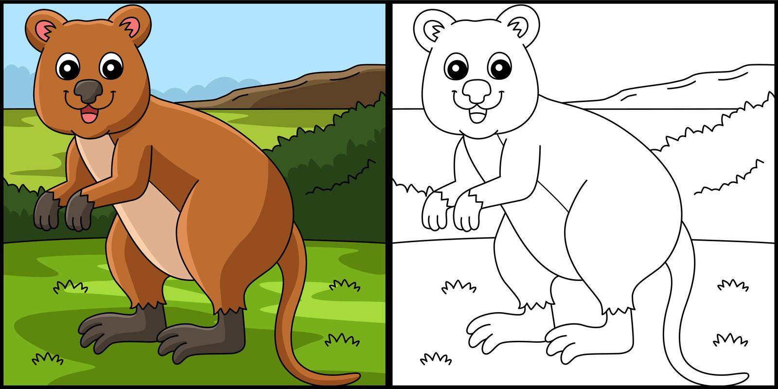 This coloring page shows a quokka animal. One side of this illustration is colored and serves as an inspiration for children.