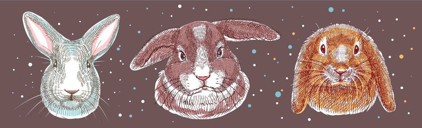 Color illustration, sketch drawn with markers. Set of domestic rabbits, portraits of heads. Vector. All elements of the illustration are isolated, it is easy to change colors and backgrounds.