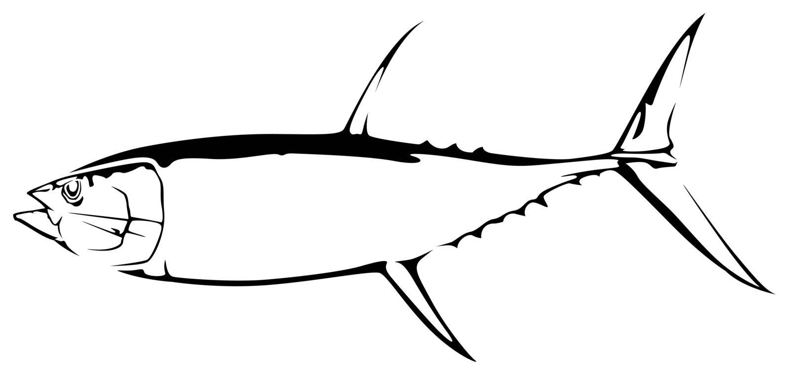 Drawing of Tuna Fish - Black and White Illustration or Logo Isolated on White Background, Vector