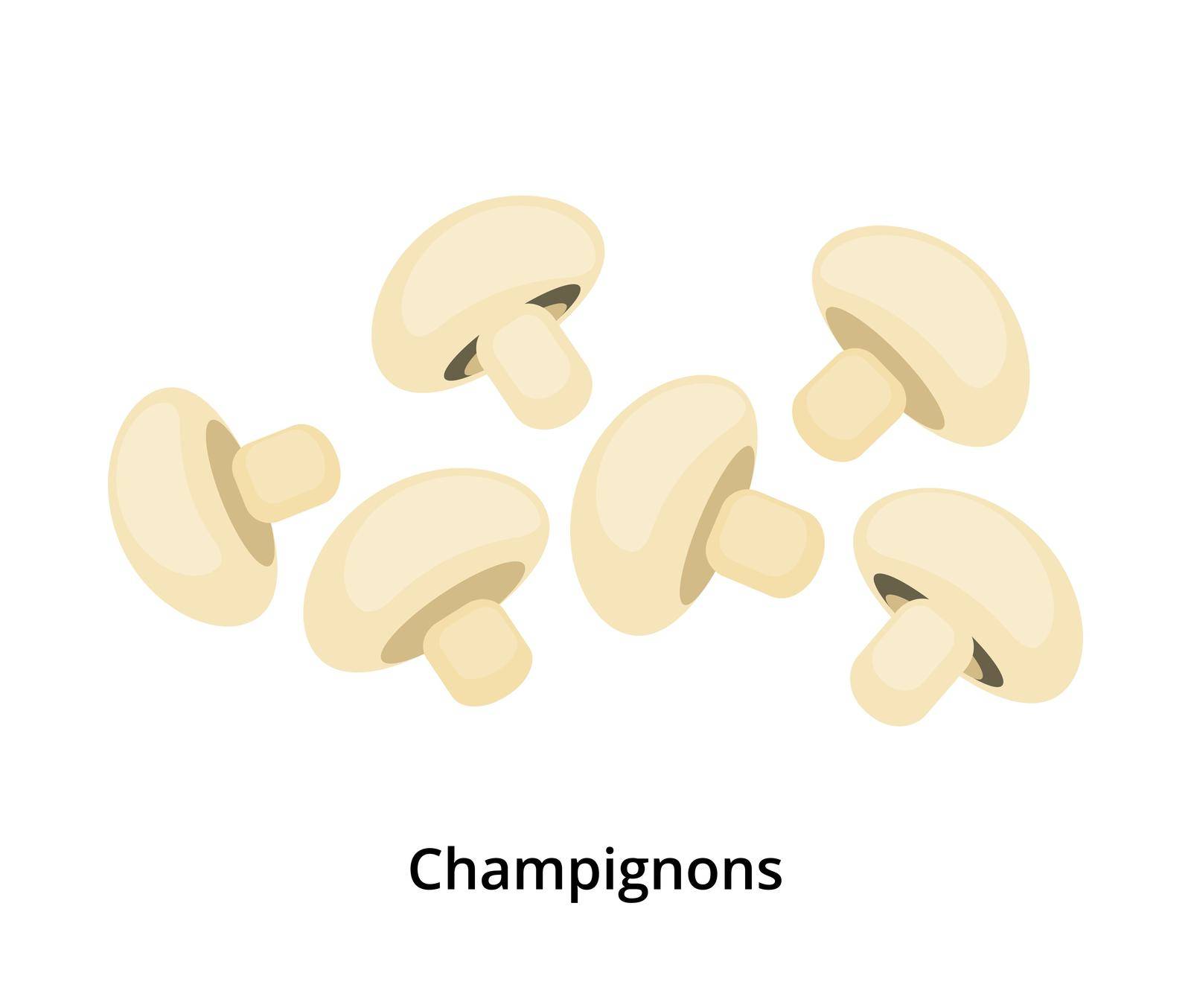 Group of cartoon mushrooms champignons isolated on white background.
