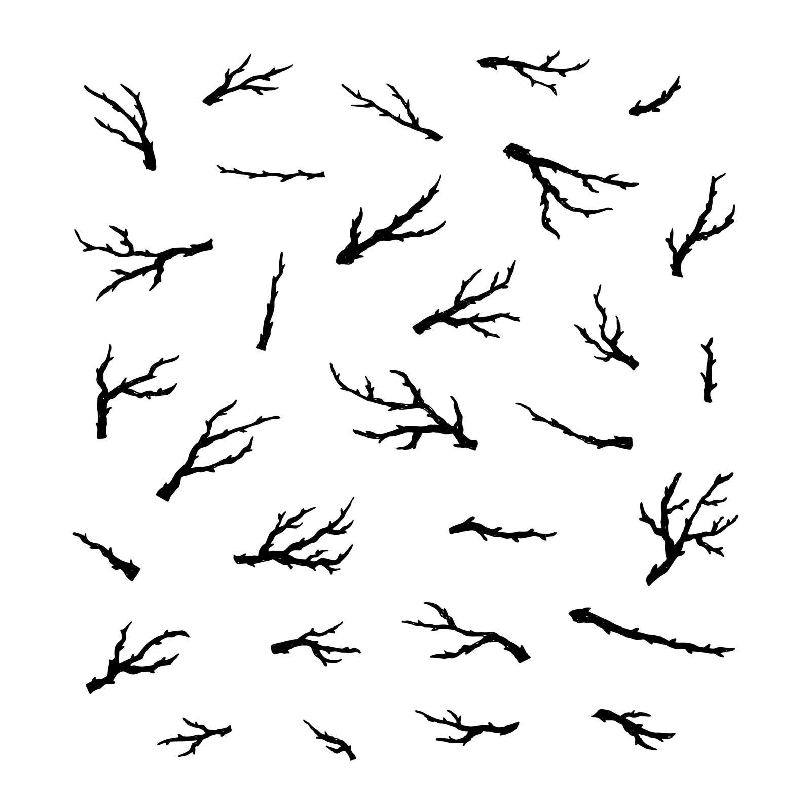 Set of hand painted black ink tree branches and twigs isolated on white background.