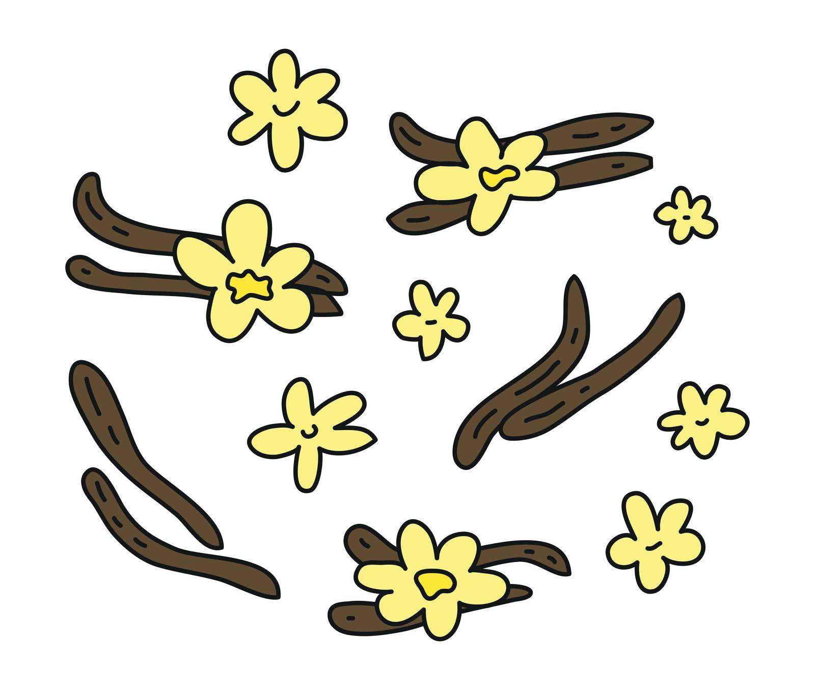 Set of doodle colored vanilla sticks and flowers isolated on white background.