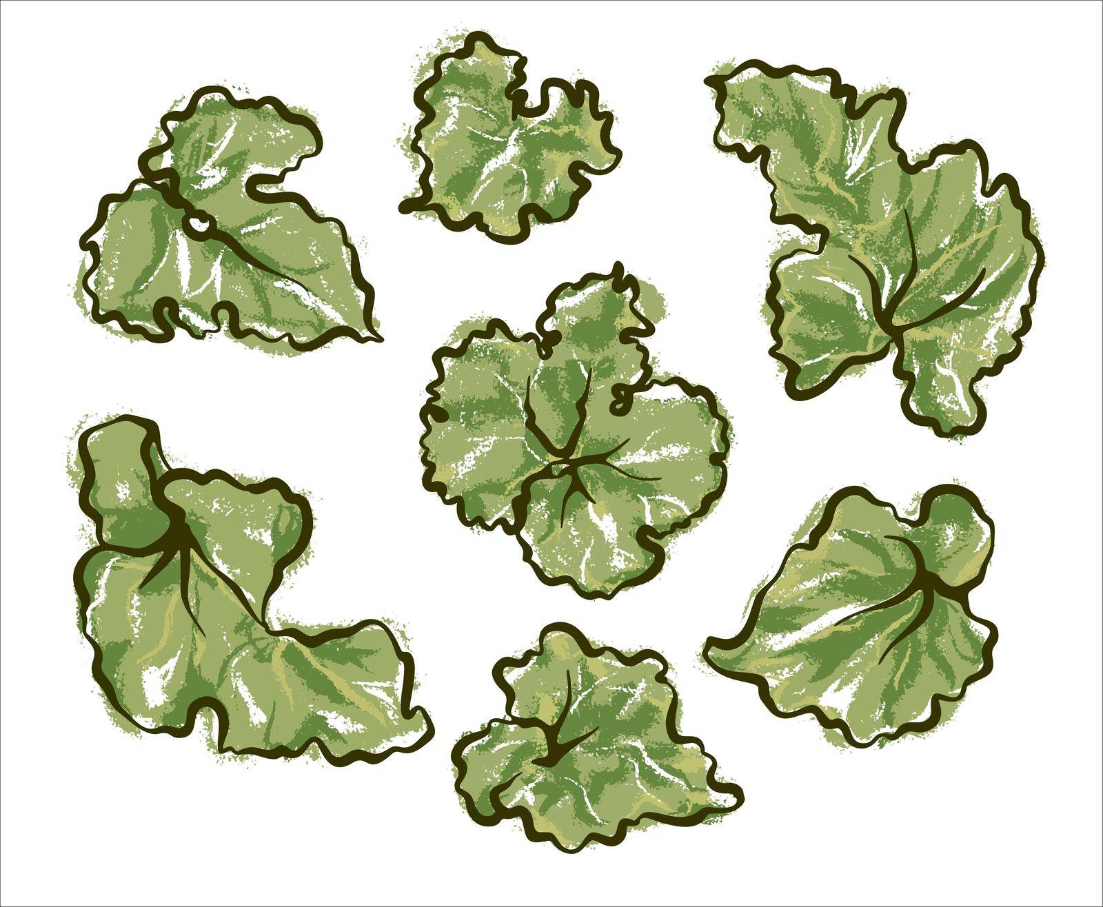 A set of leaves of the useful Rhubarb plant. by Manka