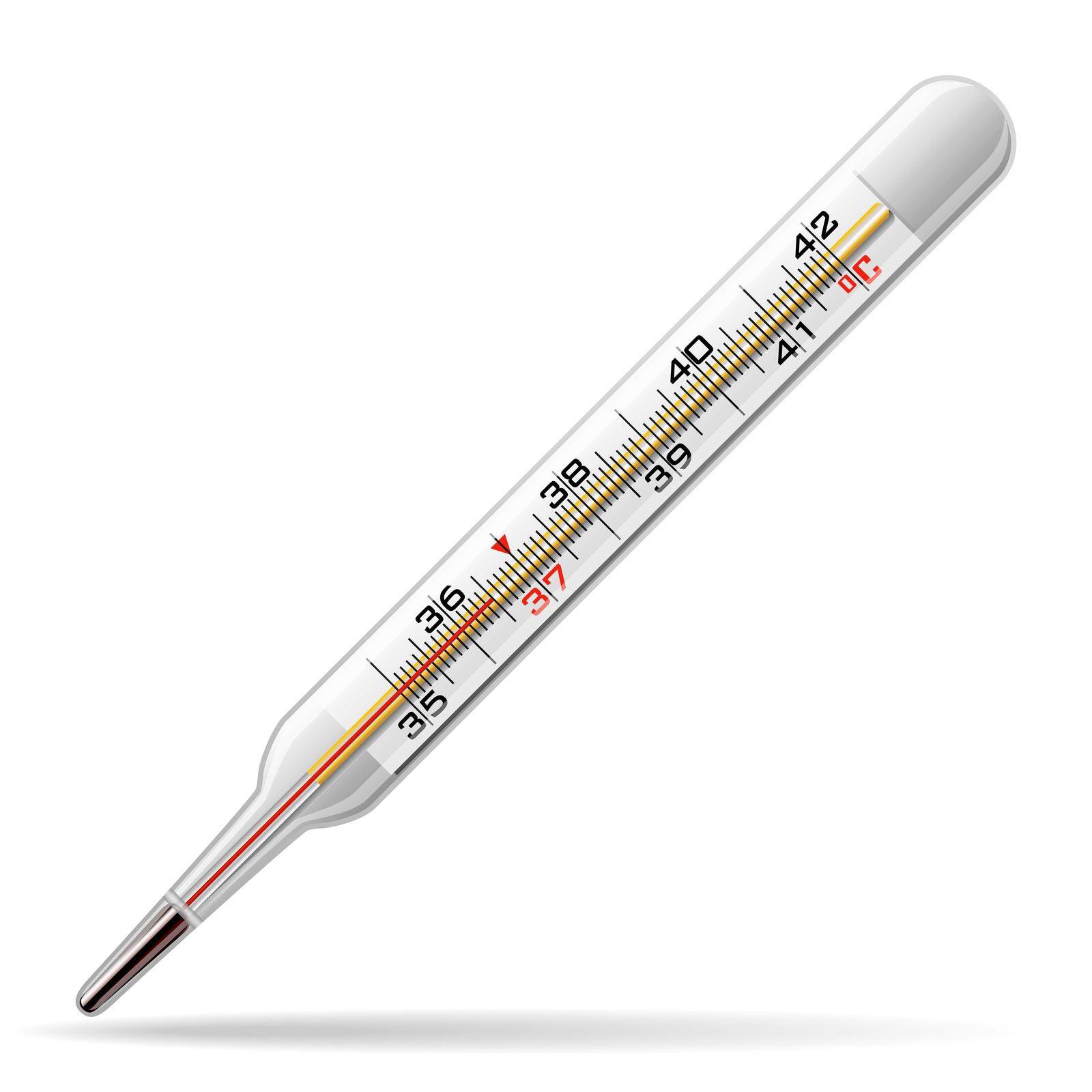 Thermometer medical. A glass thermometer for measuring the temperature of the human body. Vector by Nikolaiev_Oleksii