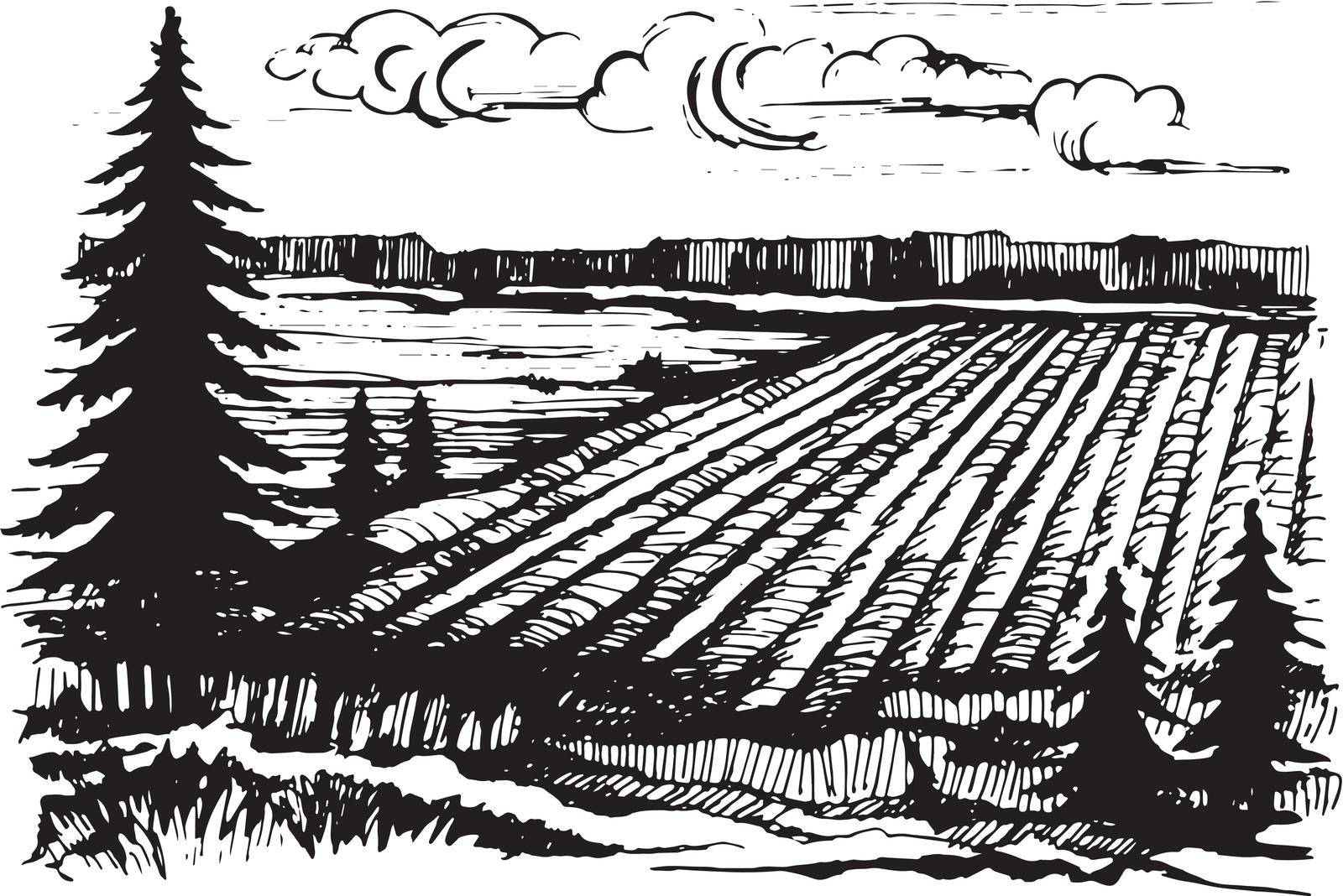 Field of crops landscape hand-drawn sketch vector illustration