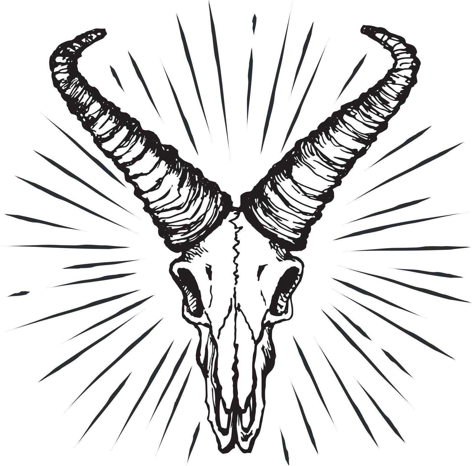 Skull of a goat with straight horns. Hand drawn sketch vector illustration.