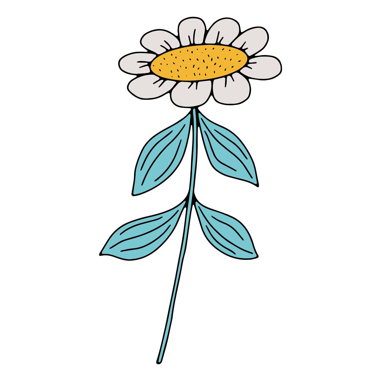 Vector doodle hand drawn flowers and herbal design elements. Line art leaves and floral objects. by iliris