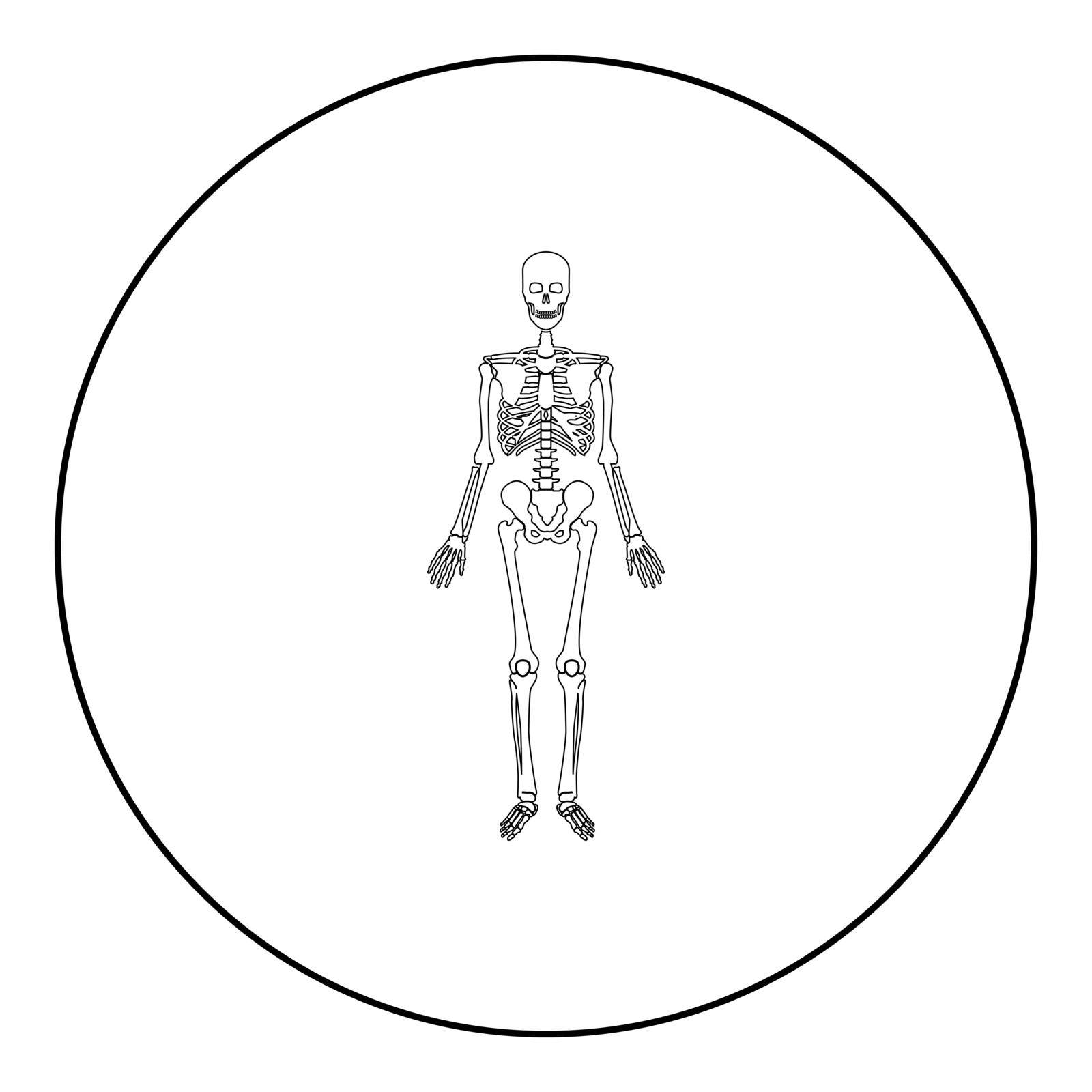 Skeleton human icon in circle round black color vector illustration image outline contour line thin style simple
