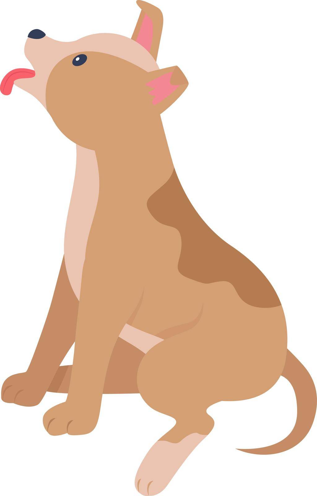 Adopt puppy from abroad semi flat color vector character by ntl