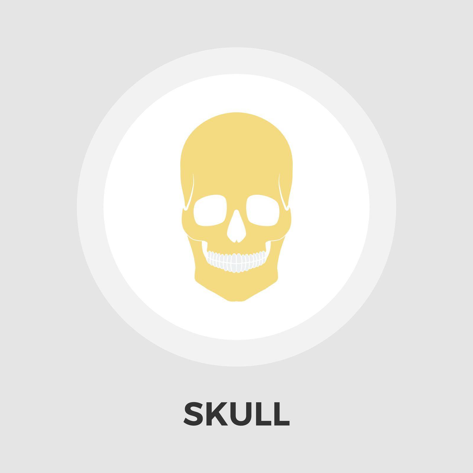 Anotomy skull icon vector. Flat icon isolated on the white background. Editable EPS file. Vector illustration.