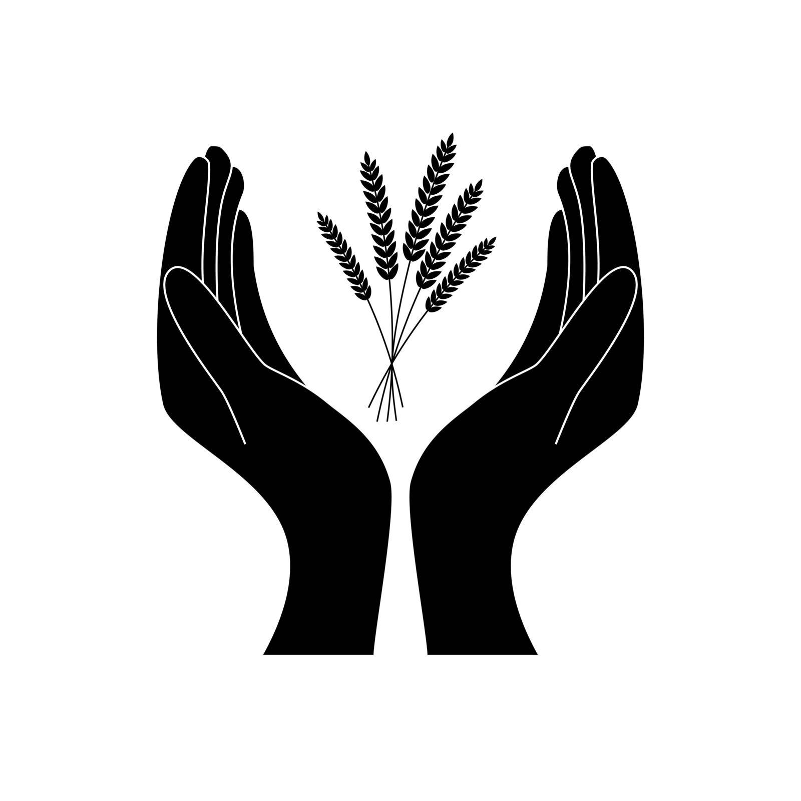 Man holding in hand wheat ear, black icon isolated on white background. Wheat spike holding farmer, peasant. Development agriculture, farming. Symbol of harvest. Vector illustration silhouette design.