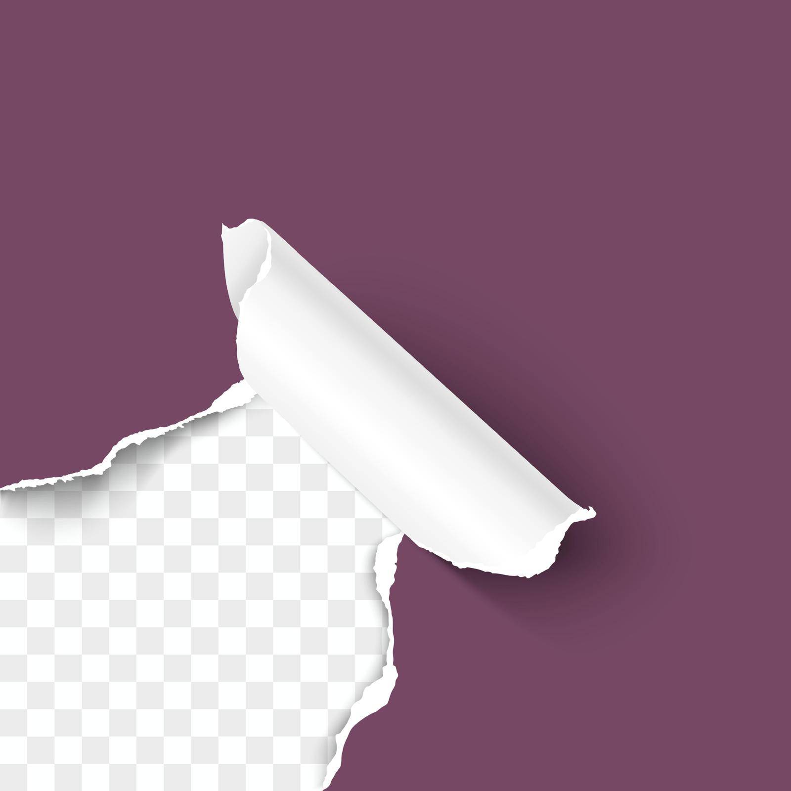 Paper corner torn hole corner of color paper sheet with paper curl isolated on transparent background realistic vector illustration