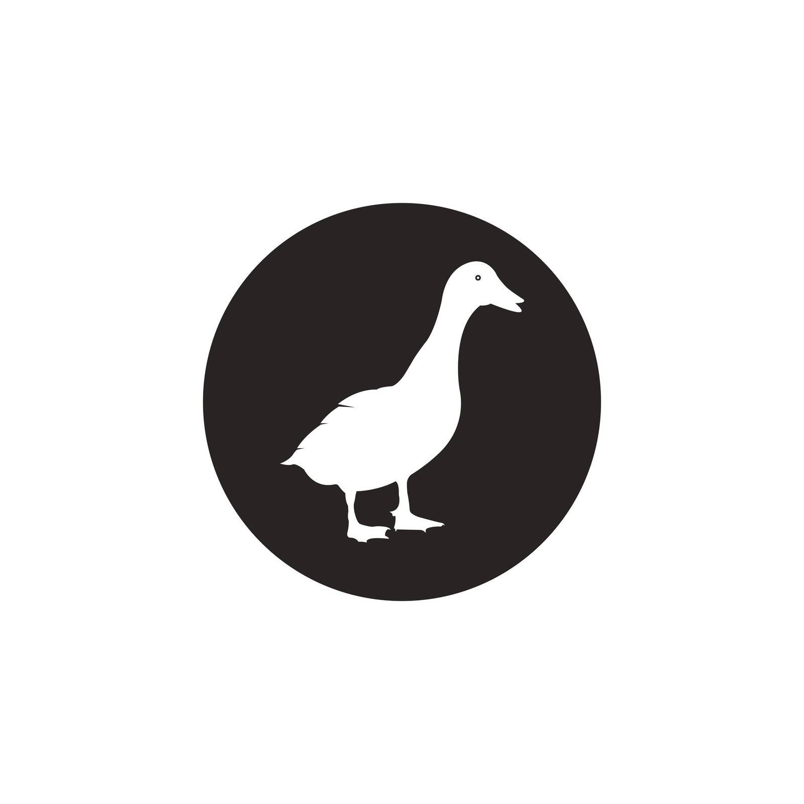 Duck logo vector illustration  design template