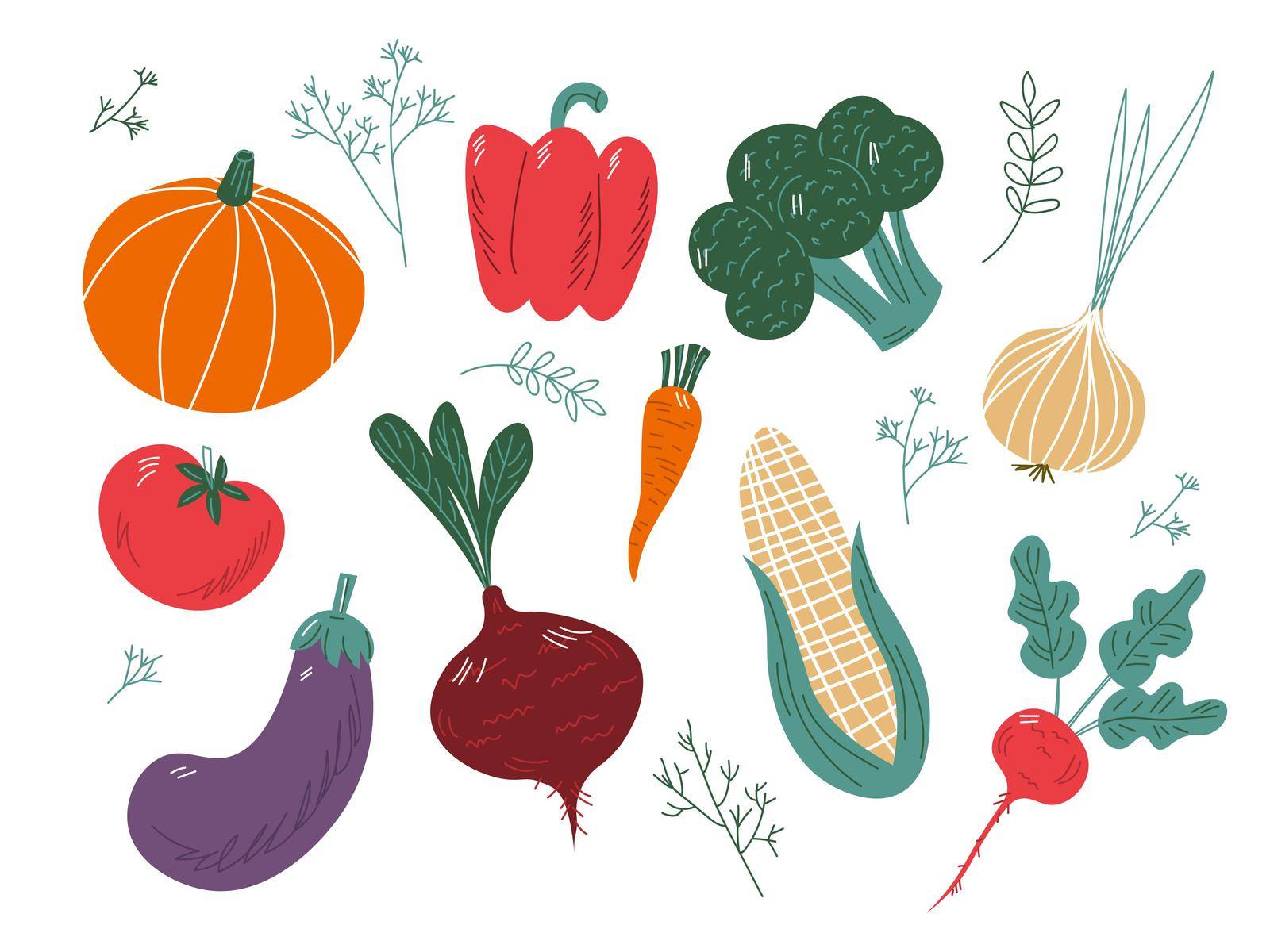 big set of colorful hand drawn fresh delicious vegetables isolated on white background. Flat cartoon vector illustration.