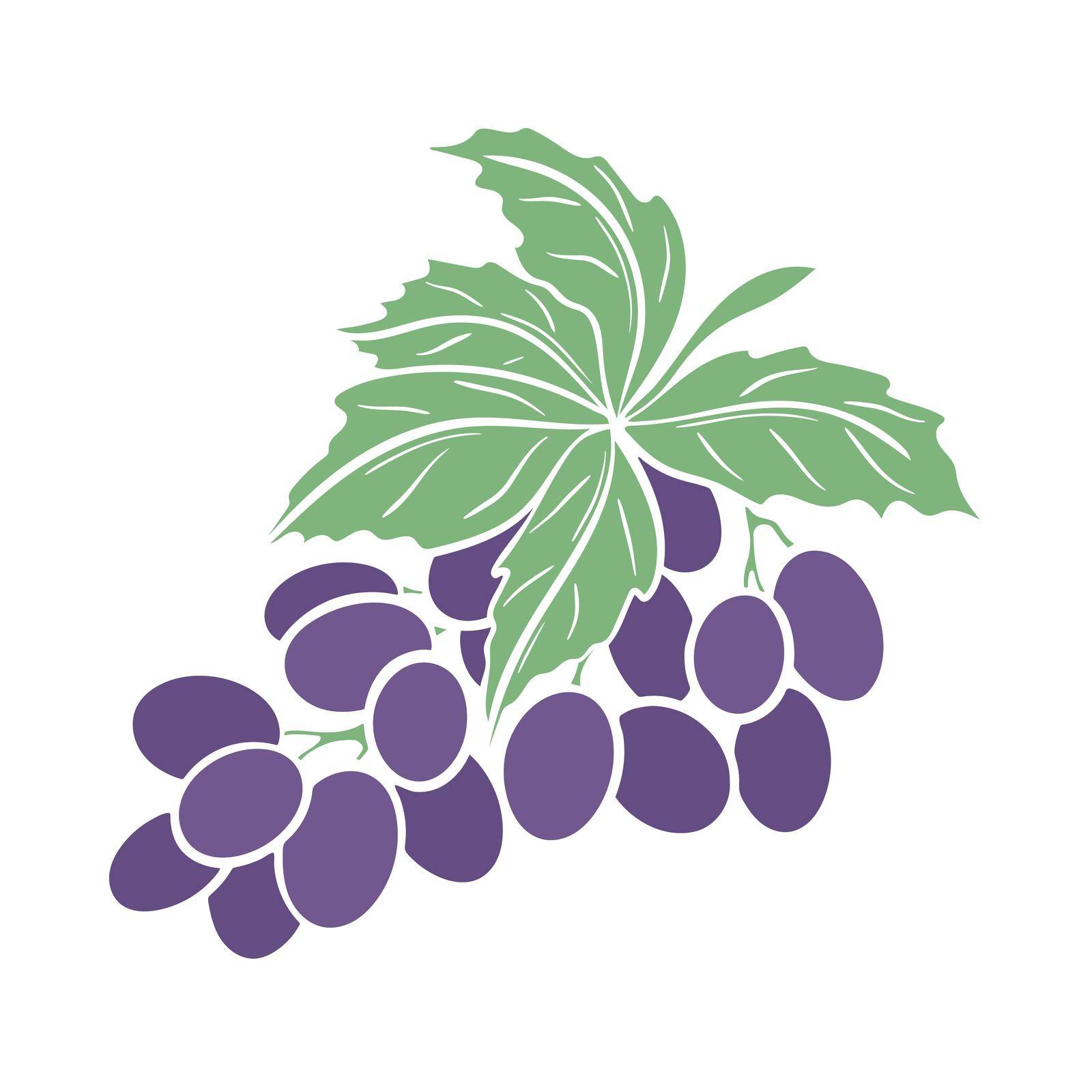Grapes branch isolated vector illustration. Purple grape leaves clipart. Simple berry bunch with foliage. Healthy organic food. Wine material for beverage production