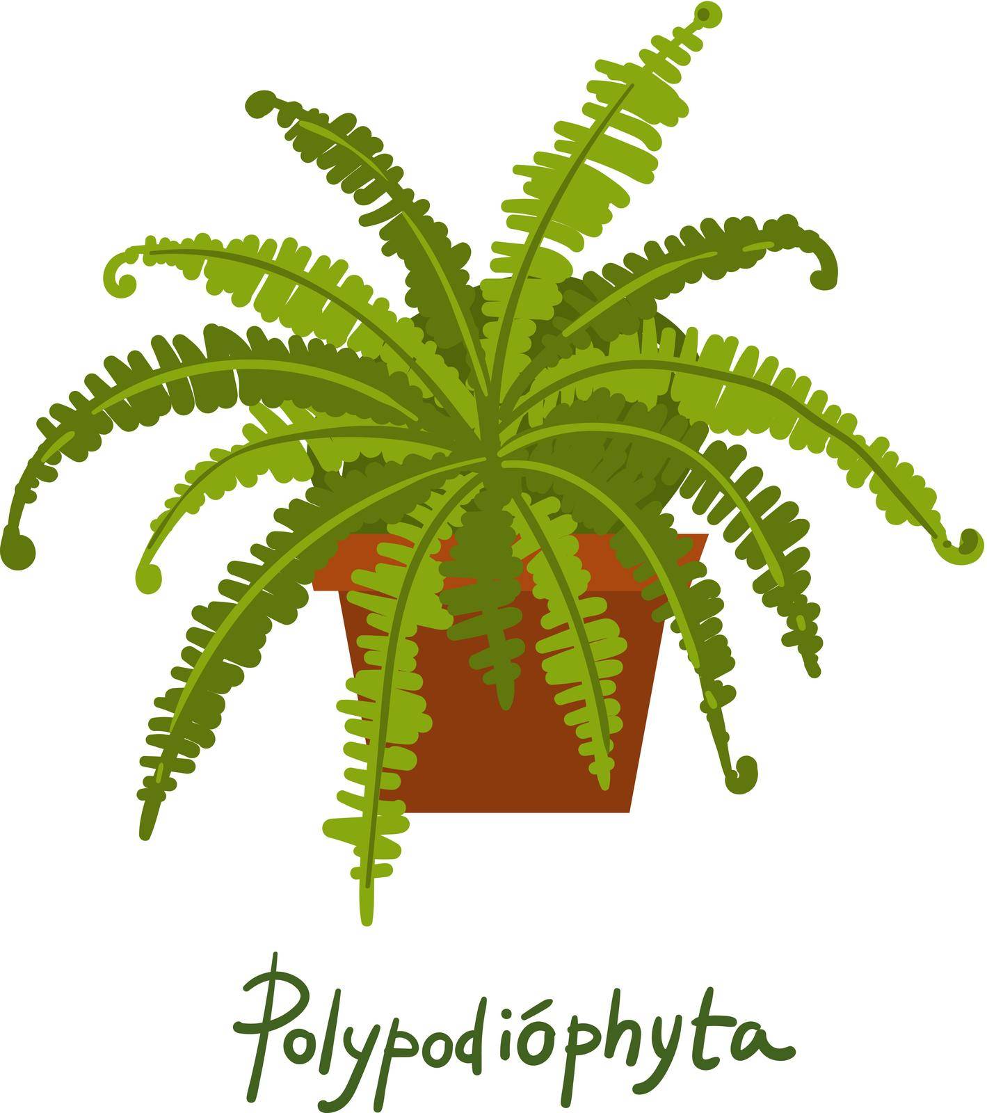 Fern. Houseplants vector illustrations. Urban jungles. Plants are friends. Culd be used for web, notebook, phone case, etc