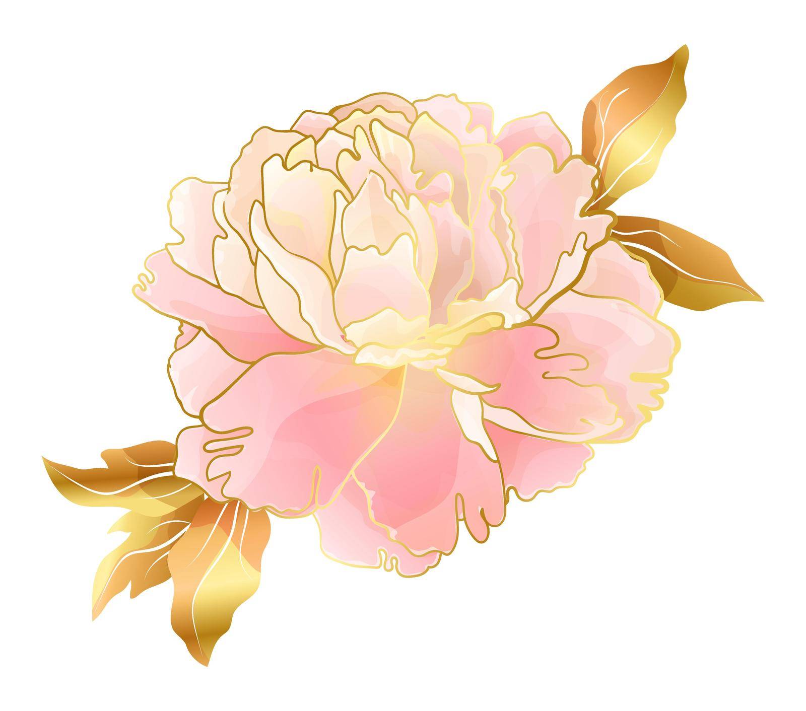 Cream pink peony flower with colden line in an Asian gentle color palette. Botanical decor for weddings and romantic celebrations, for the design of cosmetics or perfume