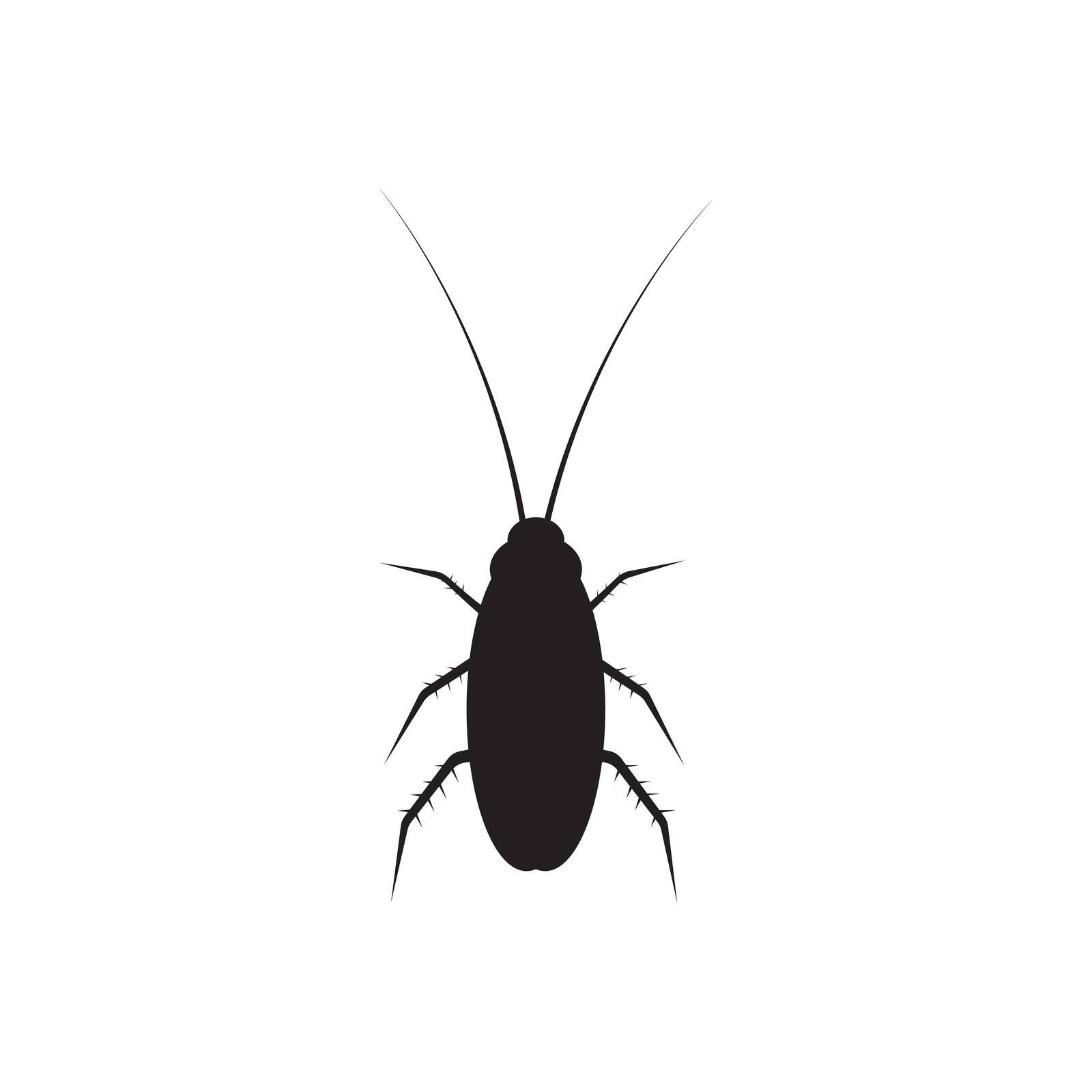 Cockroach icon template vector by ABD03