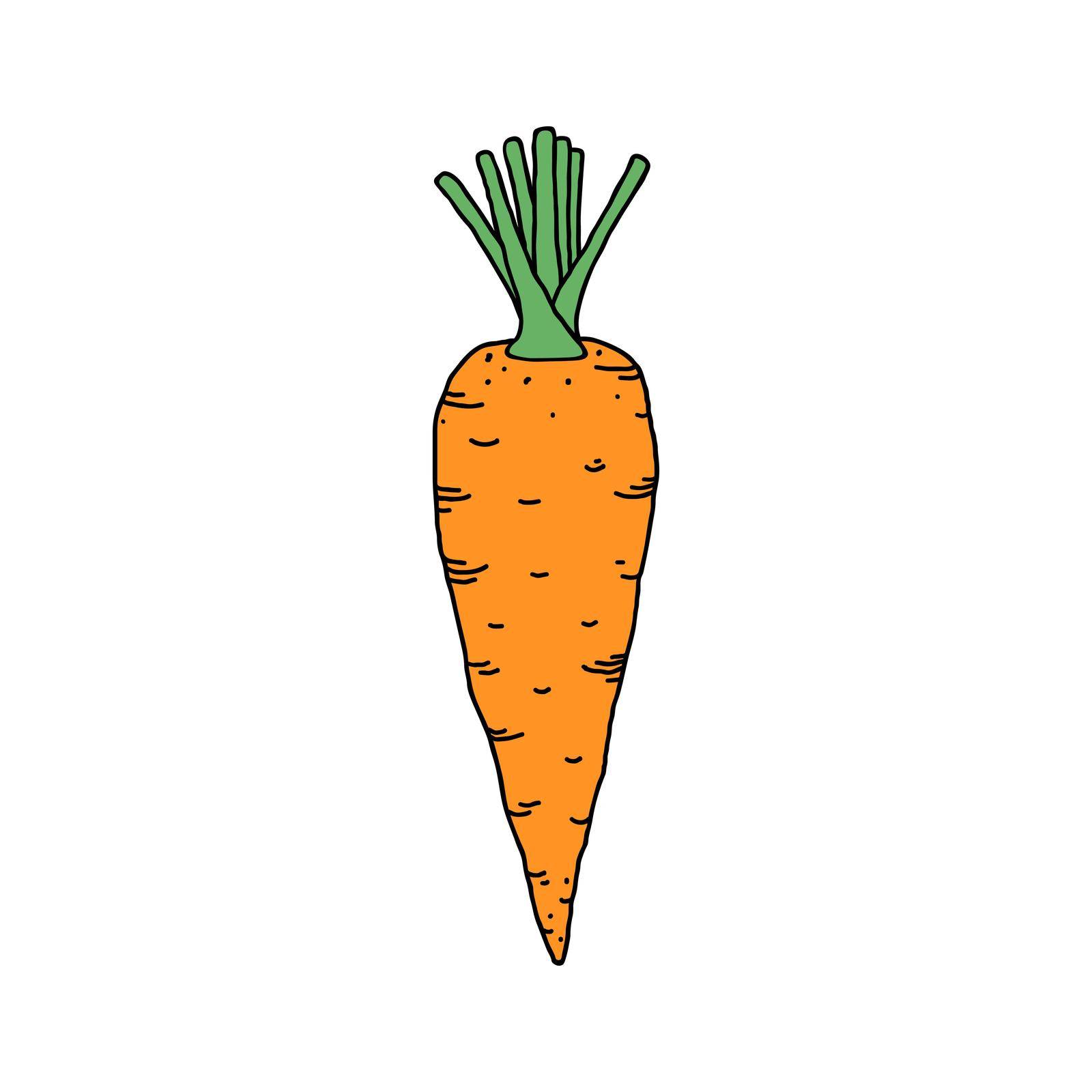 Carrot in doodle style by kiyanochka