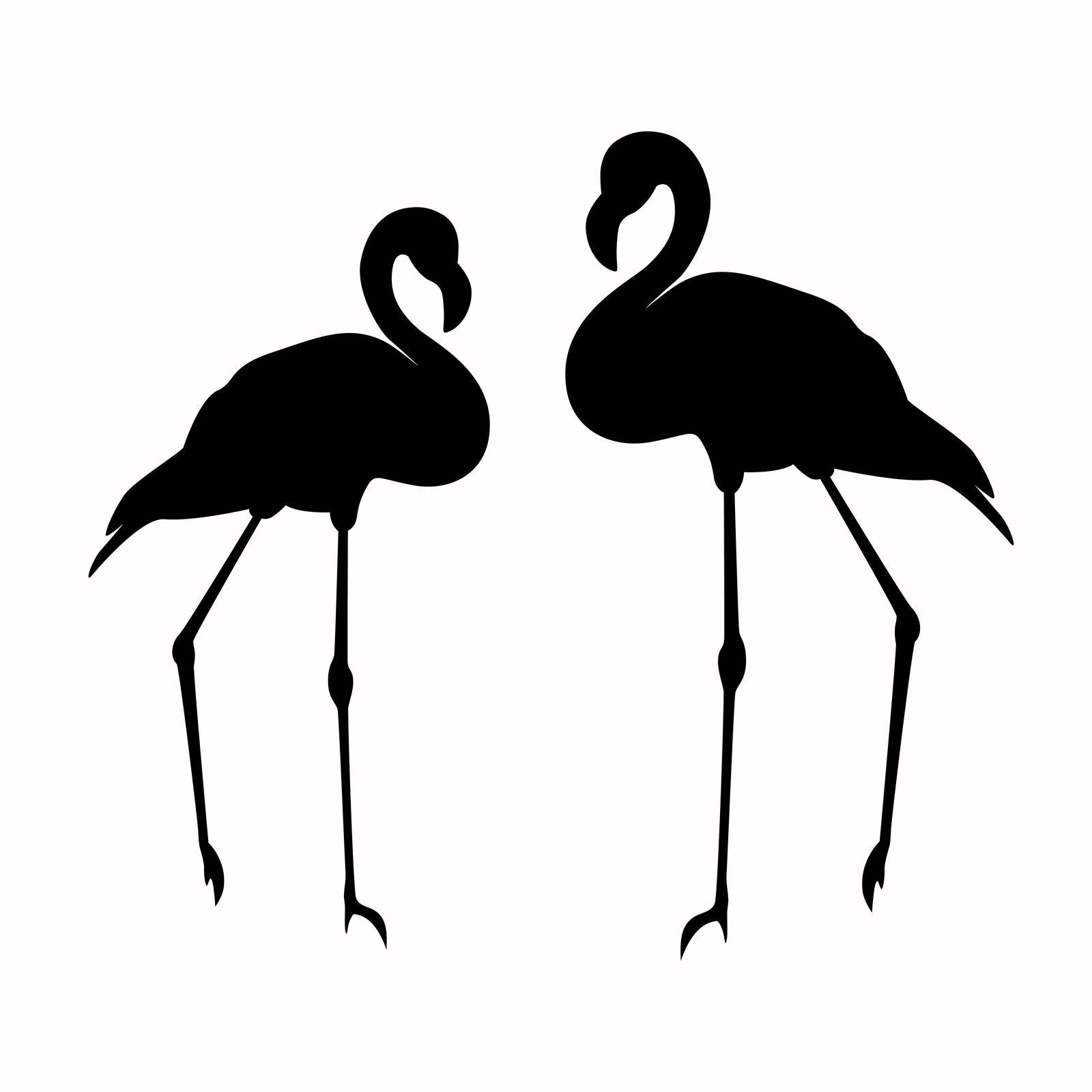 Pair flamingos black silhouette isolated on white background by TassiaK